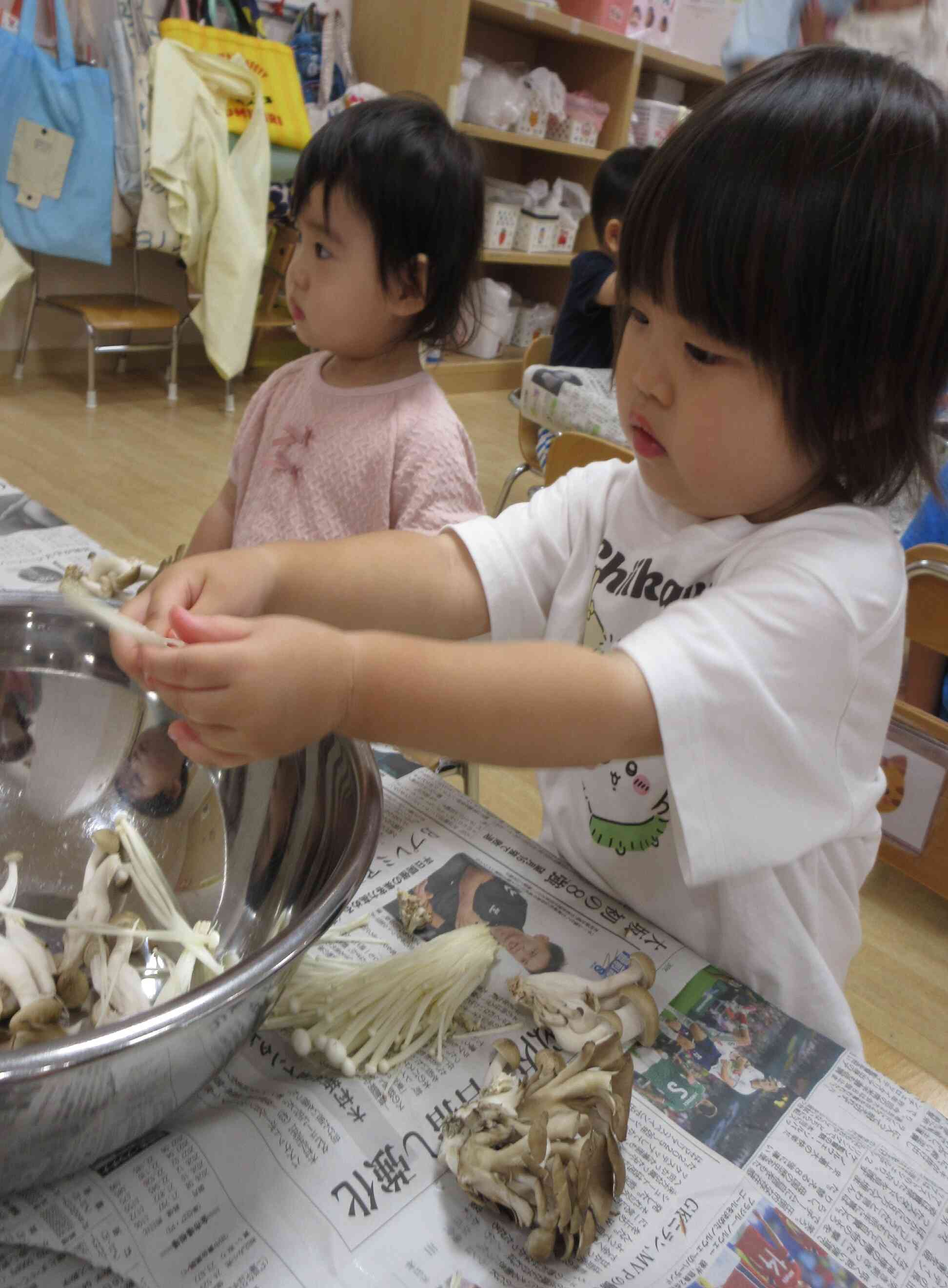 本物のキノコに触ってみよう！