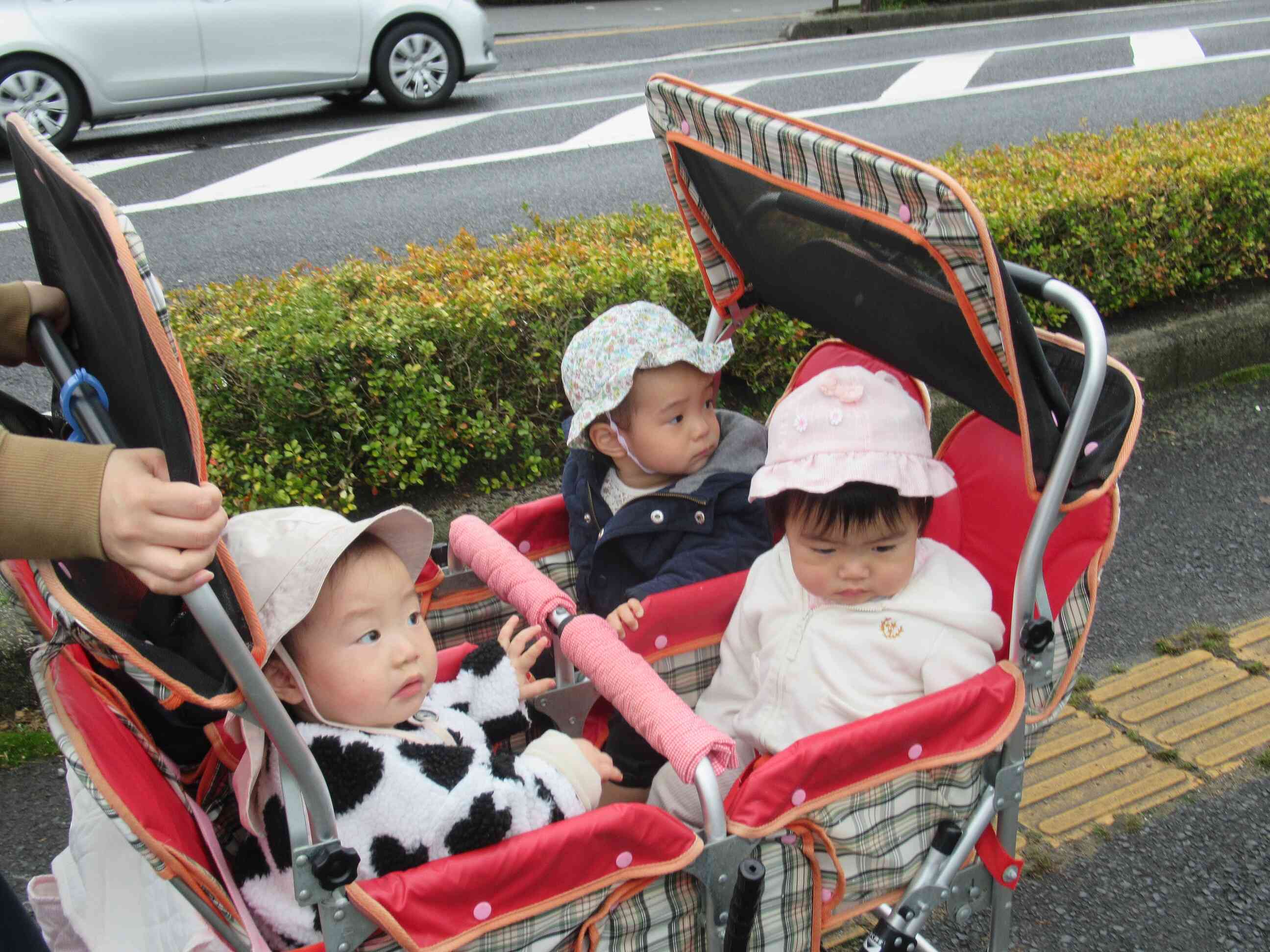 ひよこ組（0歳児）さんのおさんぽ｜ニチイキッズまつえ上乃木保育園