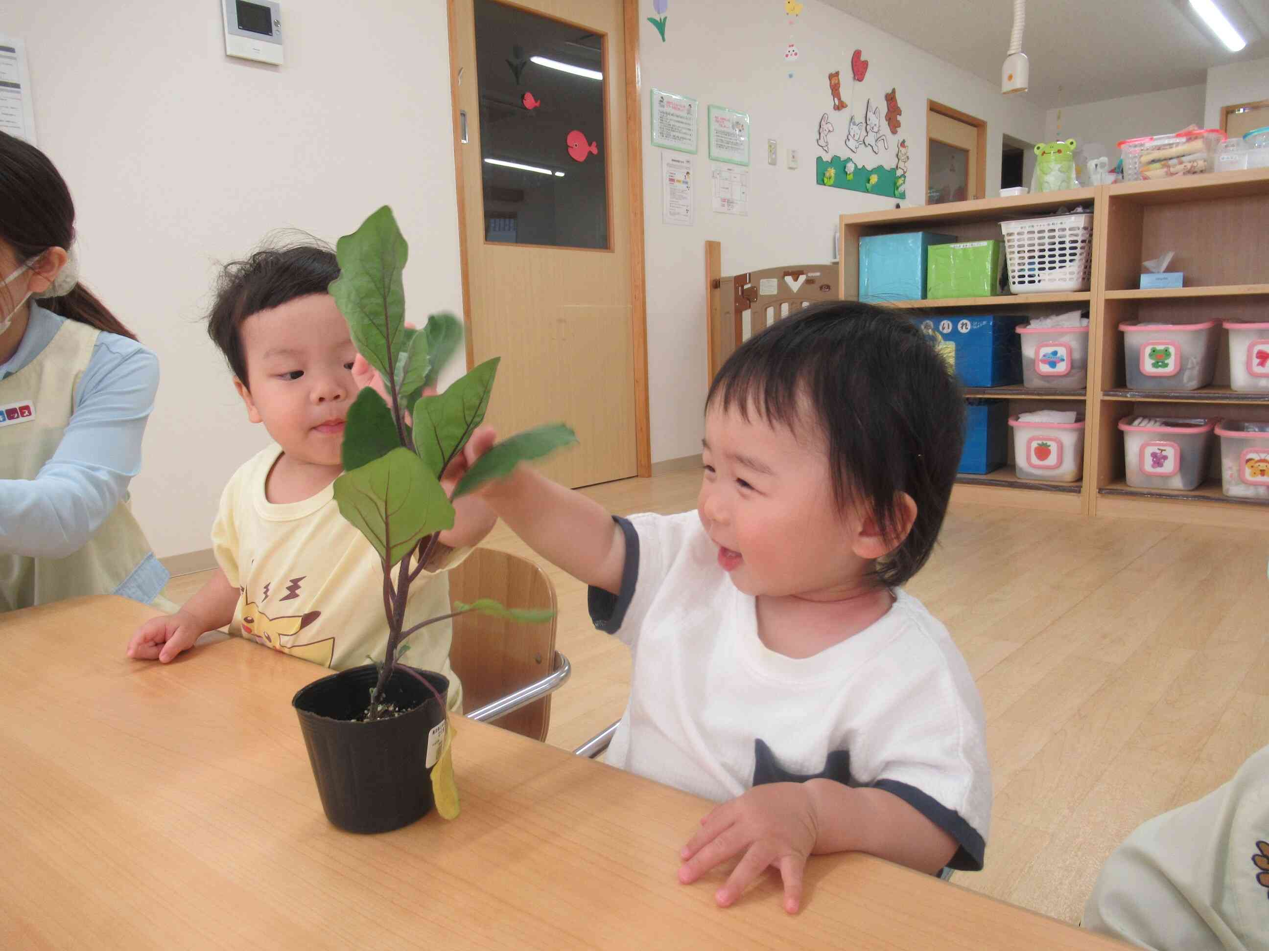 葉っぱに触れたよ。
