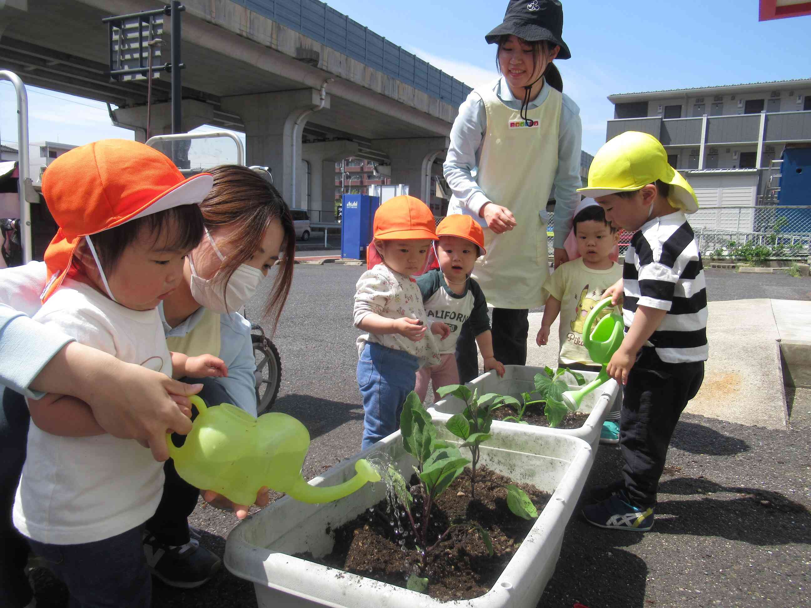 大きくなーれっ！
