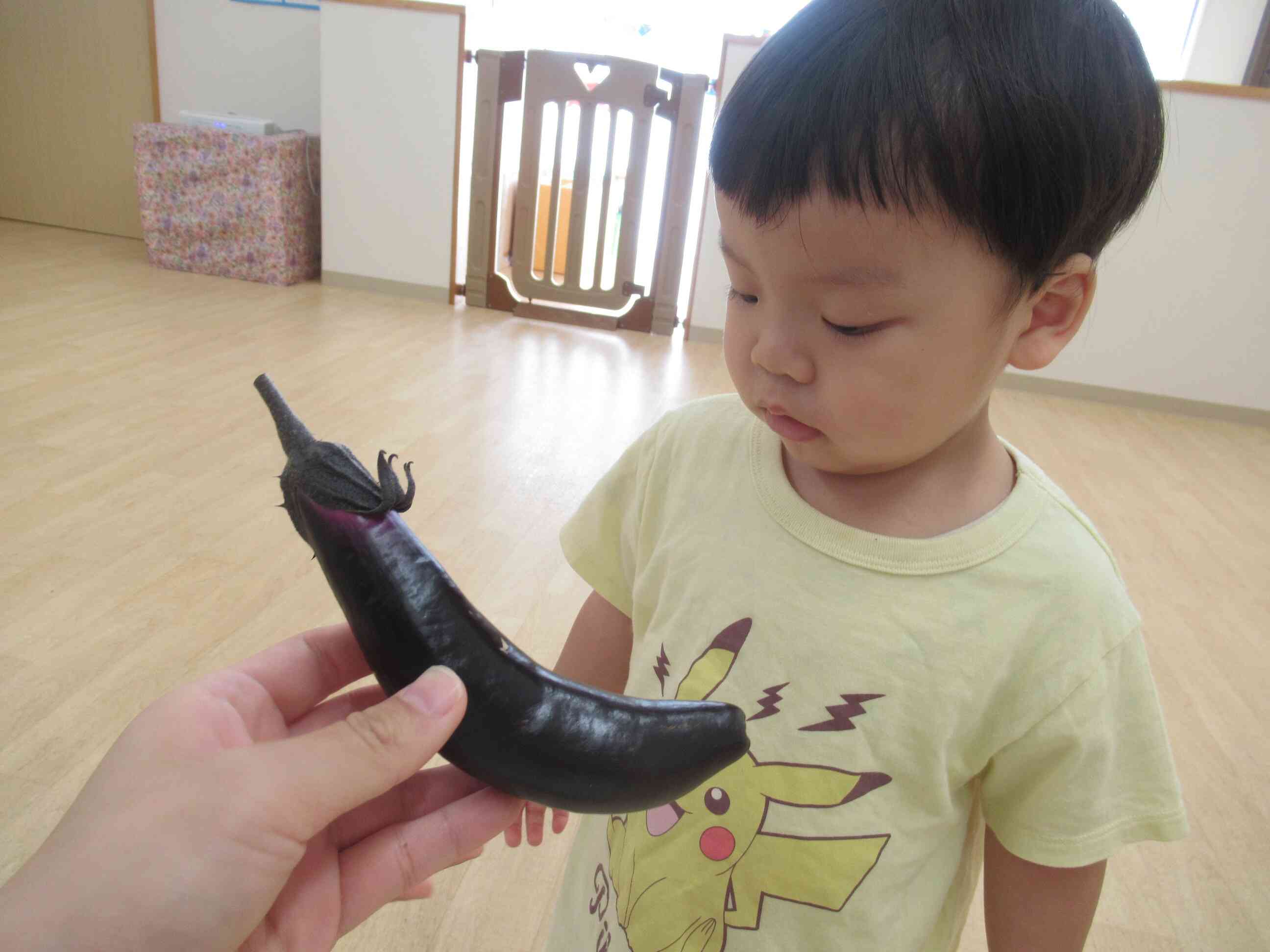 大きいなすだなぁ