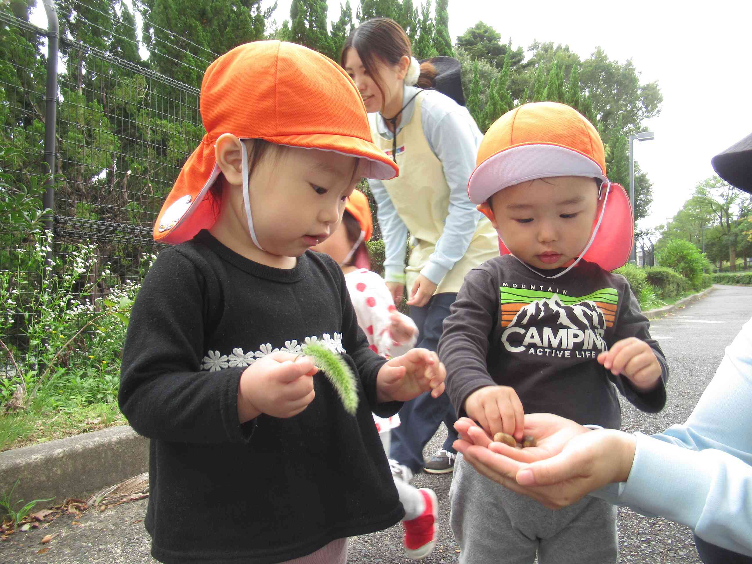 どんぐりいっぱい（１歳児あひる組）