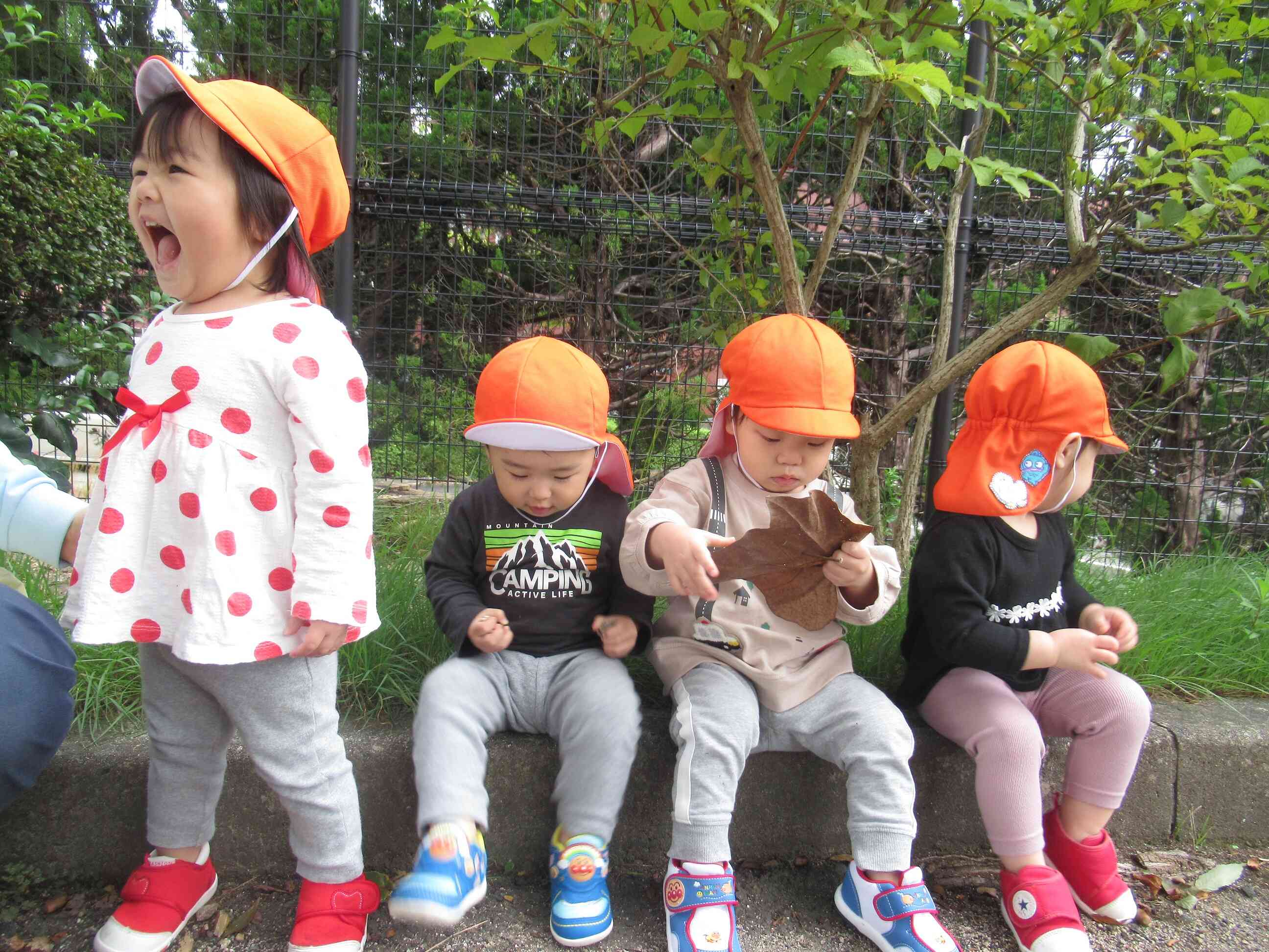 大きな葉っぱもあったよ