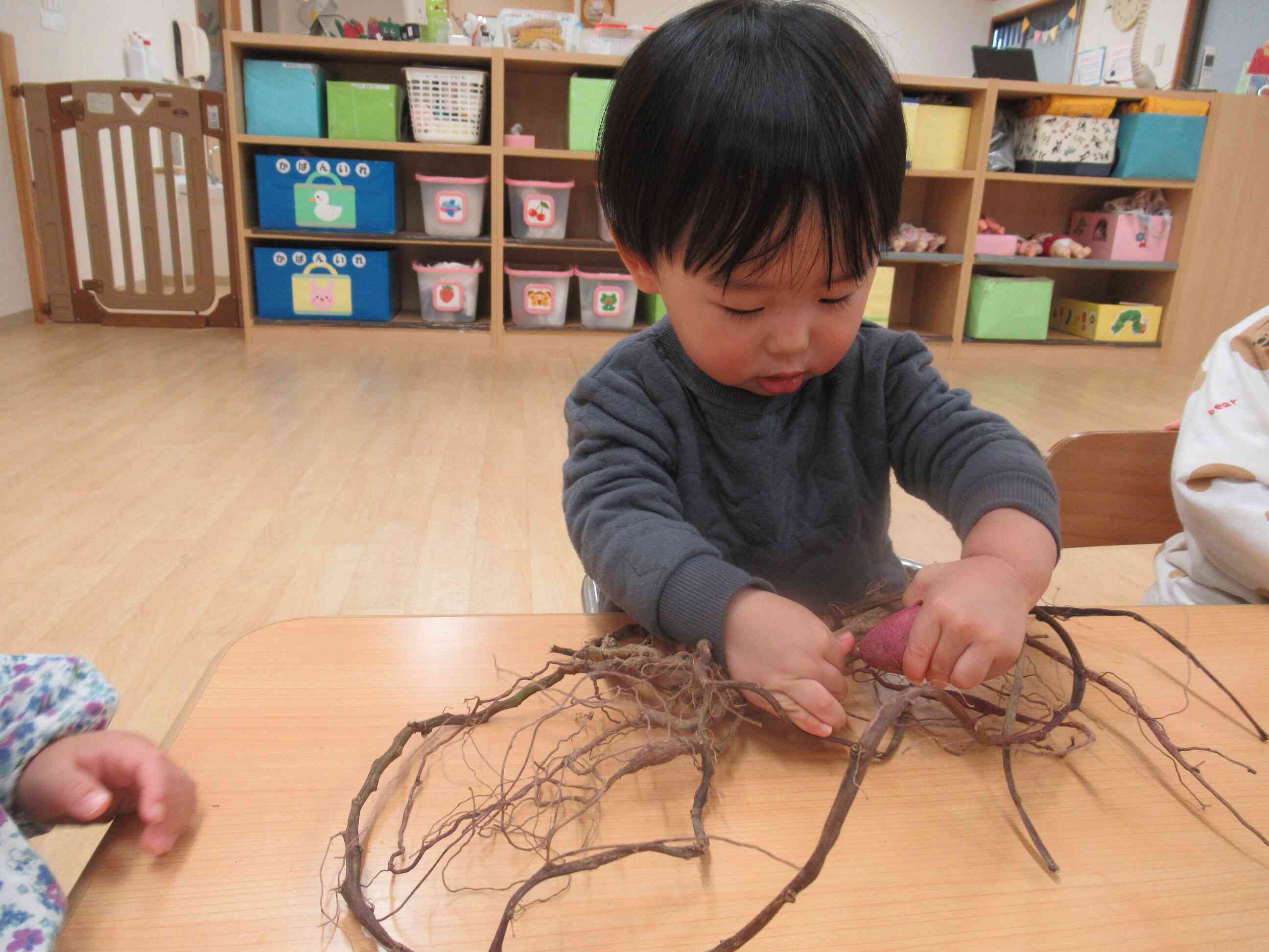 つるがとっても長いね