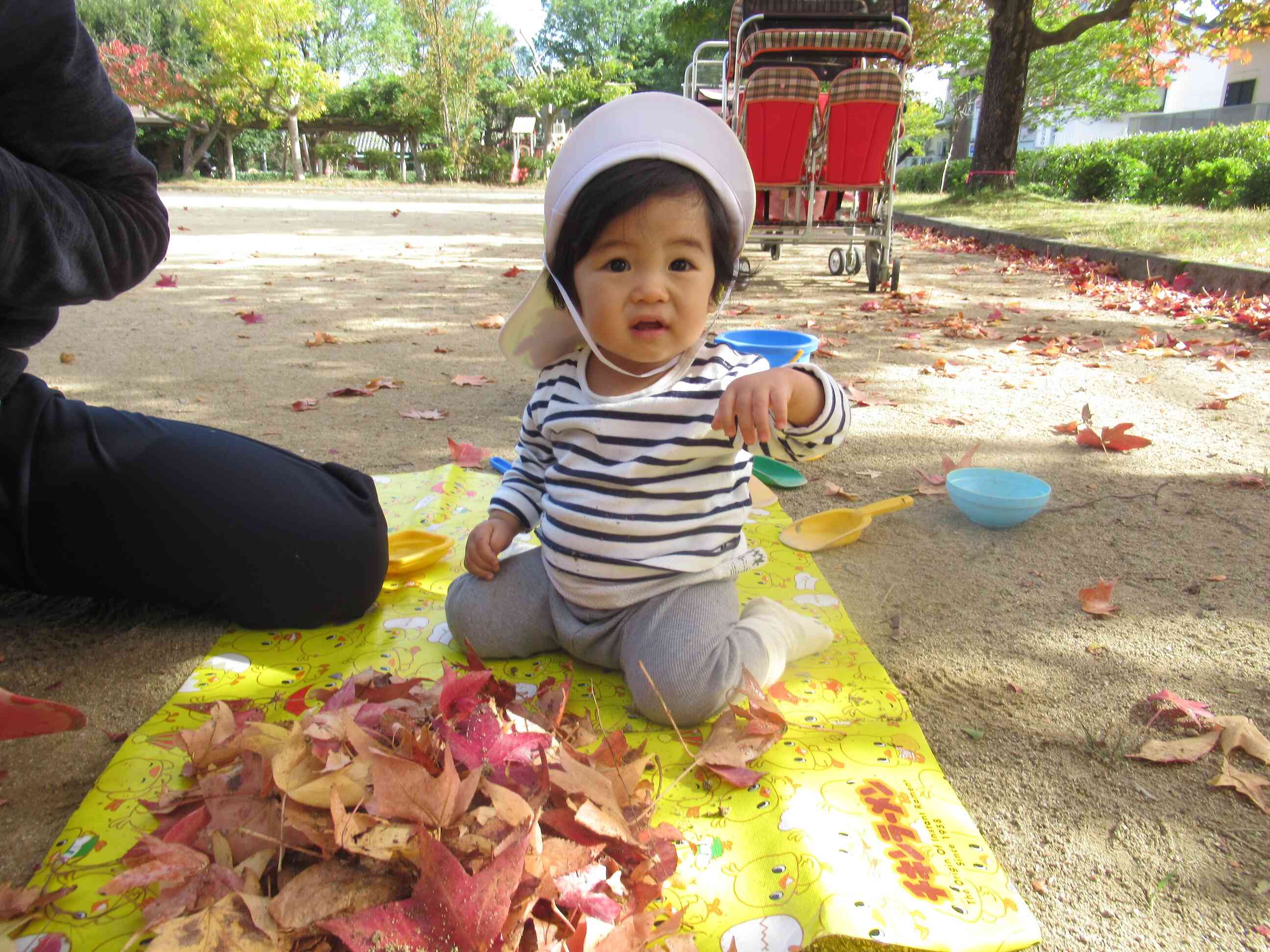 秋いっぱい たくさん!!