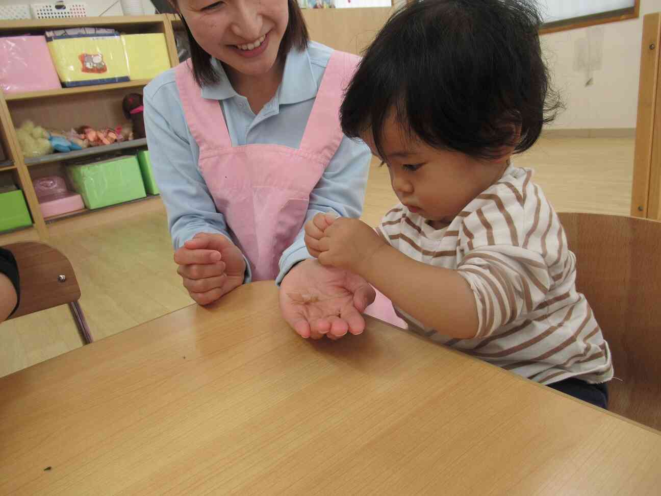 かつお節さわったよ