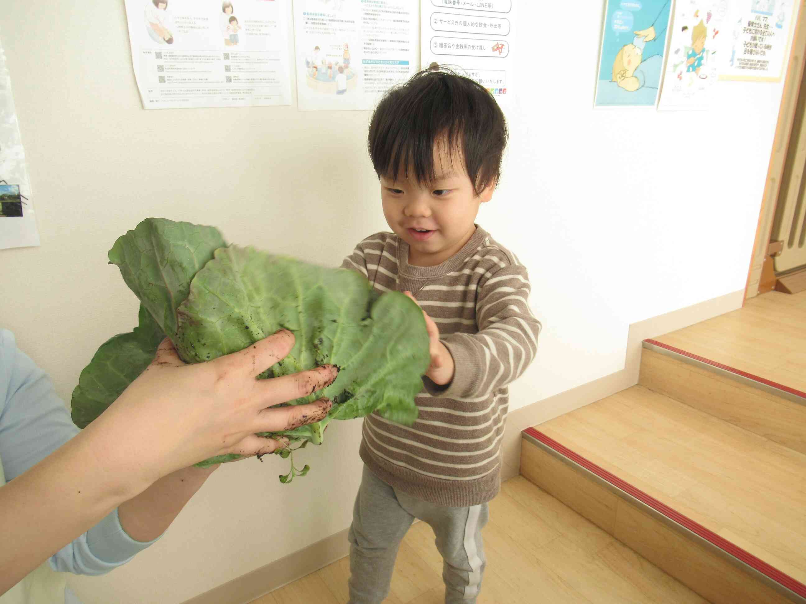 ぼくの顔より大きい！
