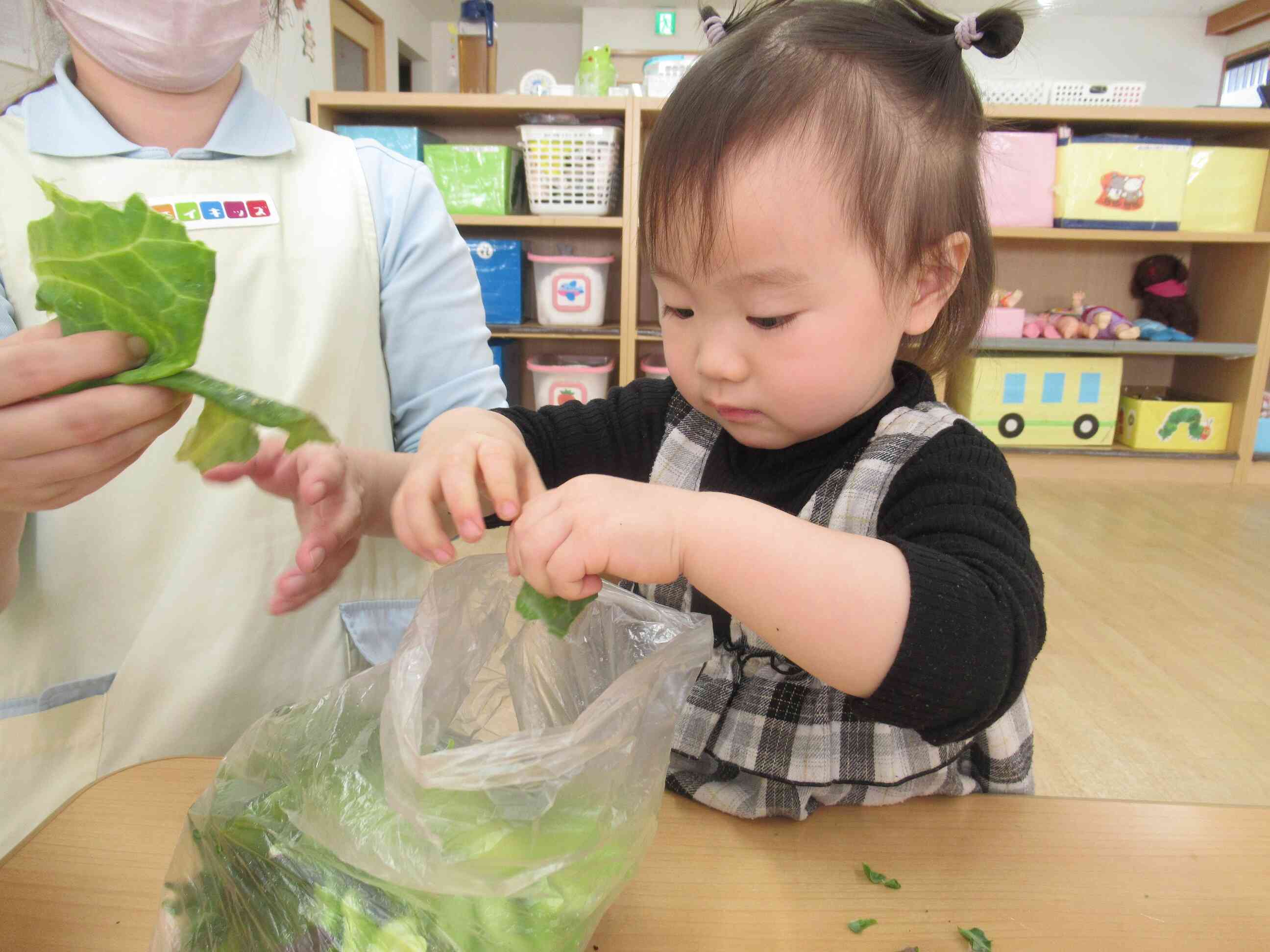 いっぱいちぎったよ！