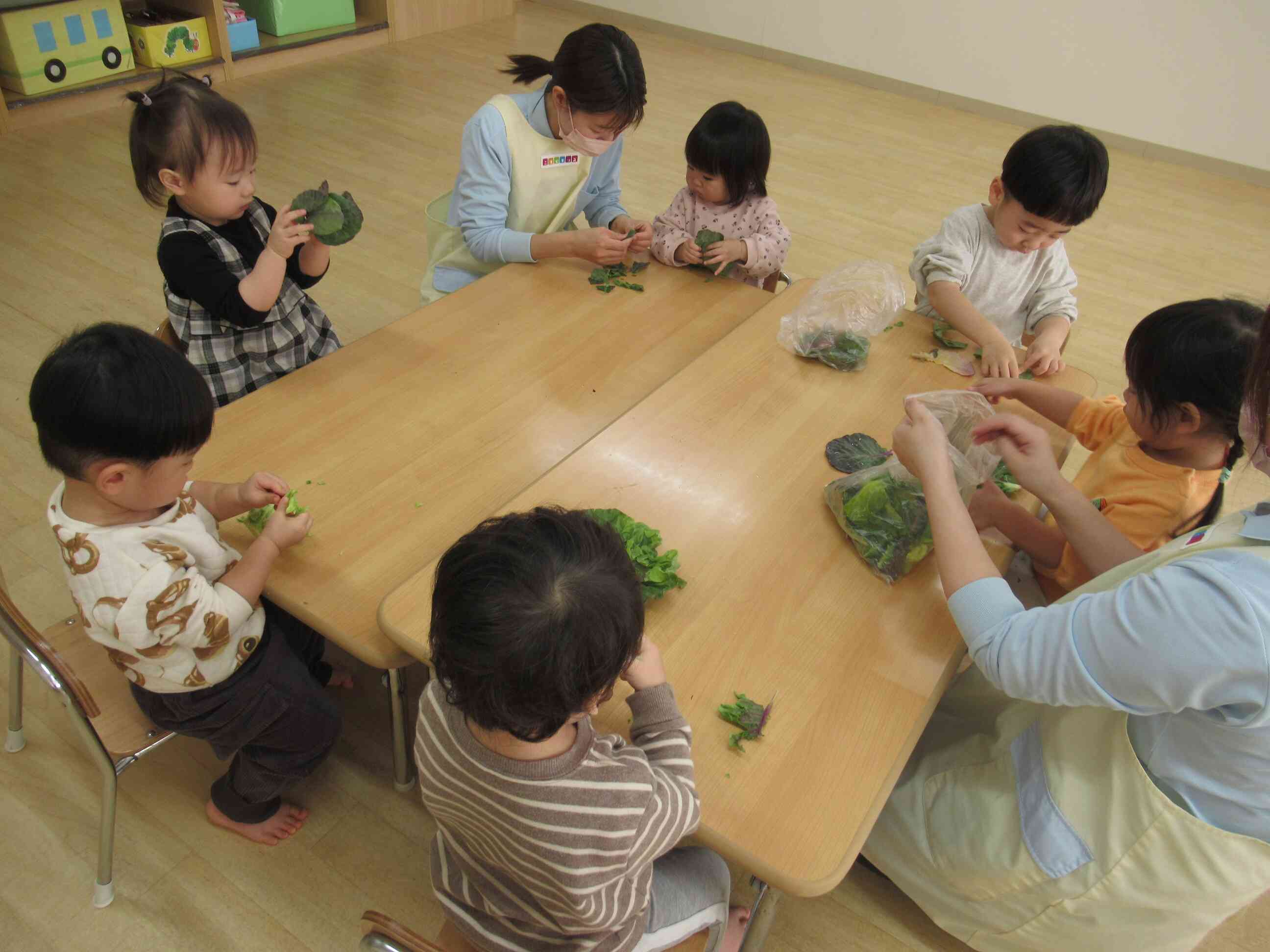 さわってみよう！