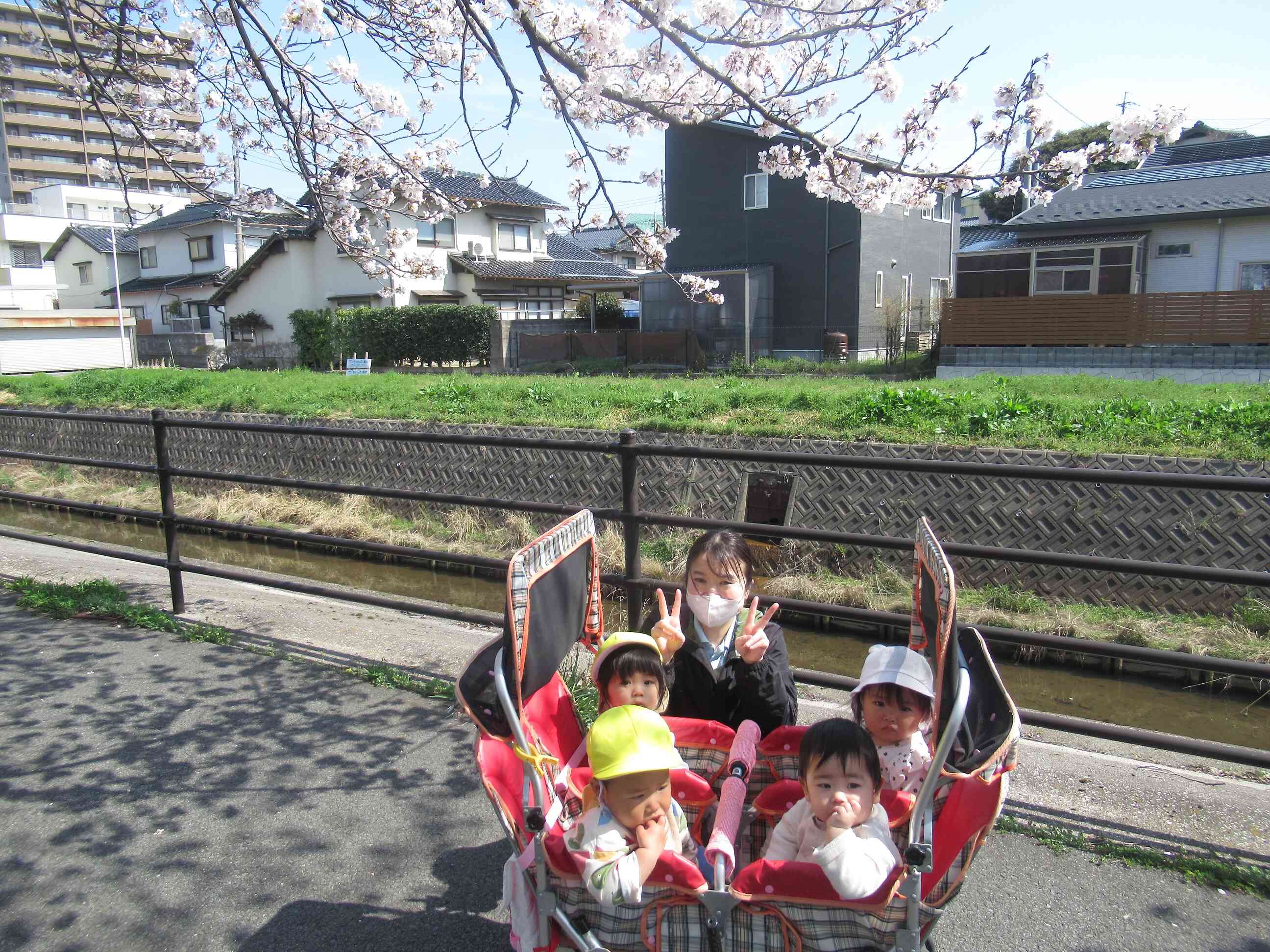 桜と一緒にみんなでハイ！チーズ