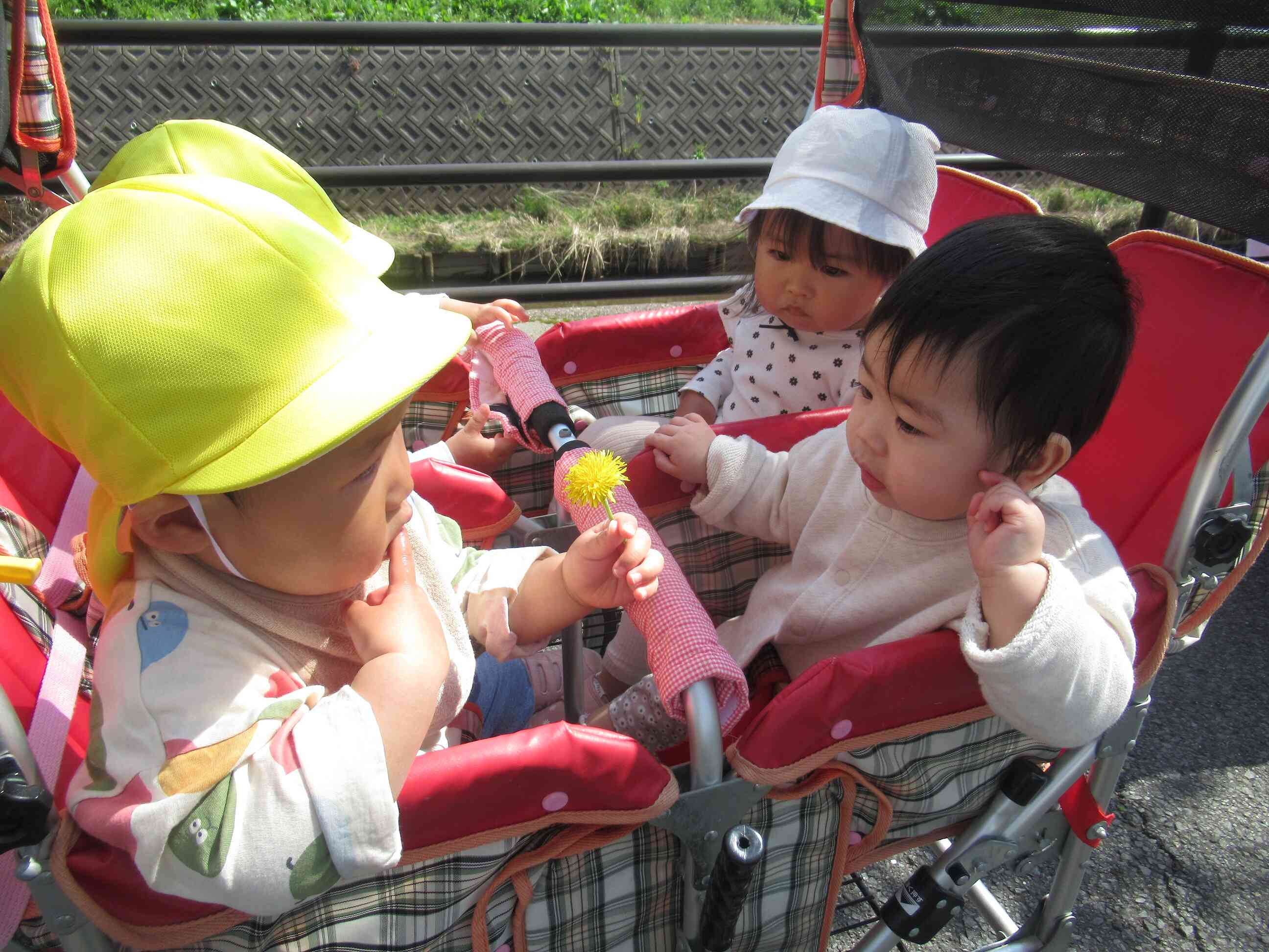 お散歩にいったよ