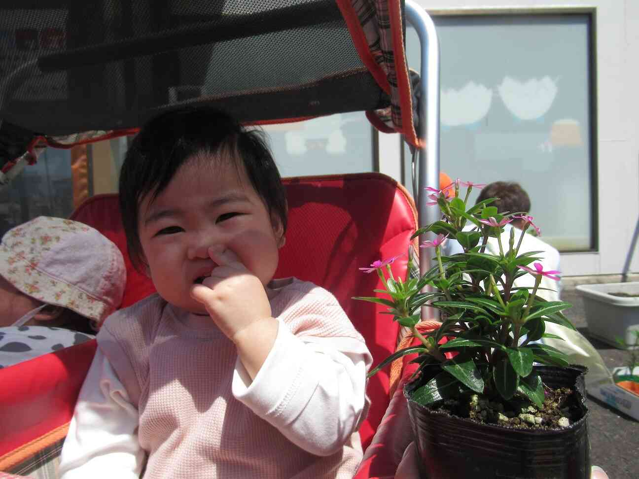 かわいいお花だね