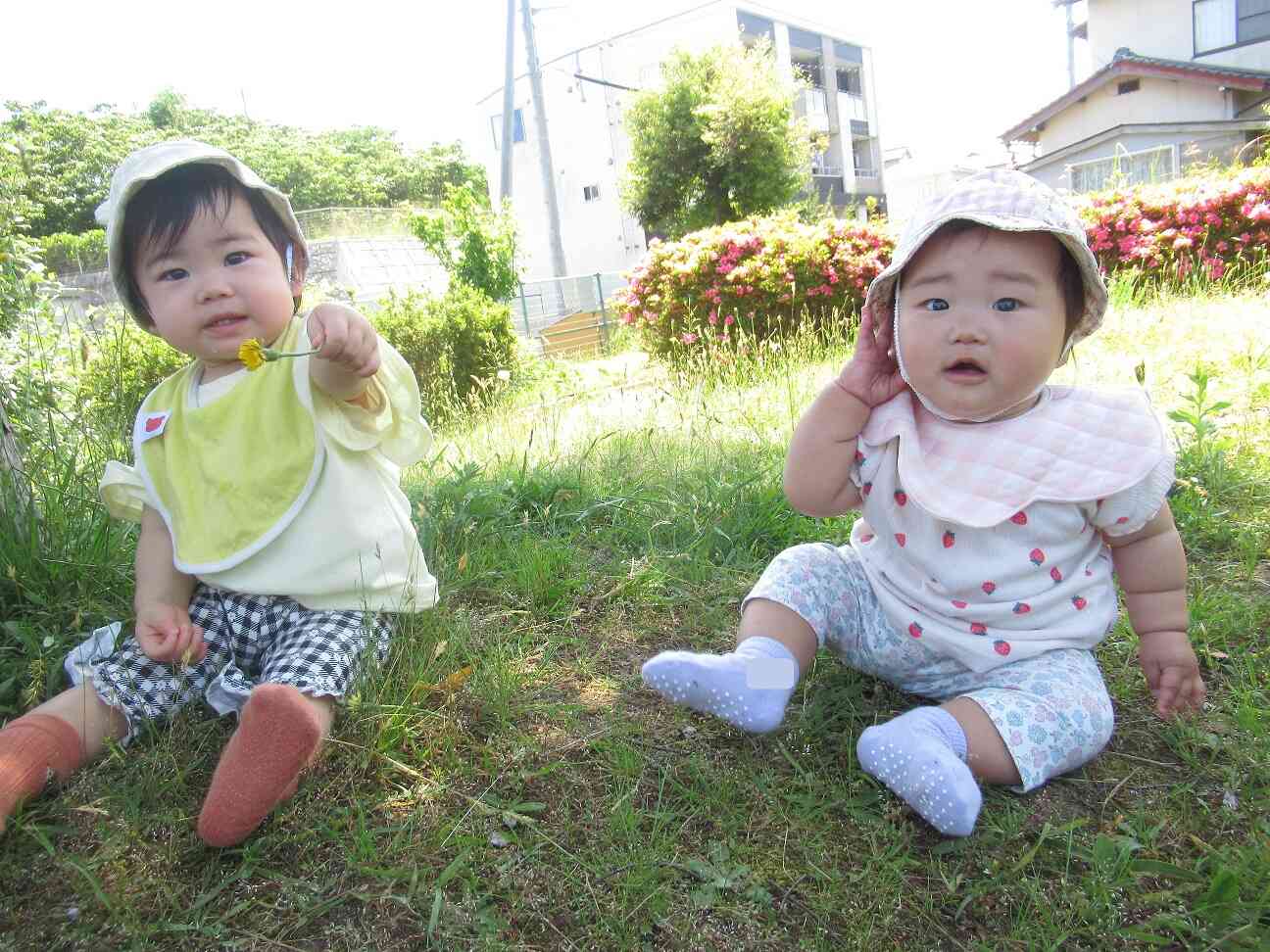 おさんぽ楽しいね