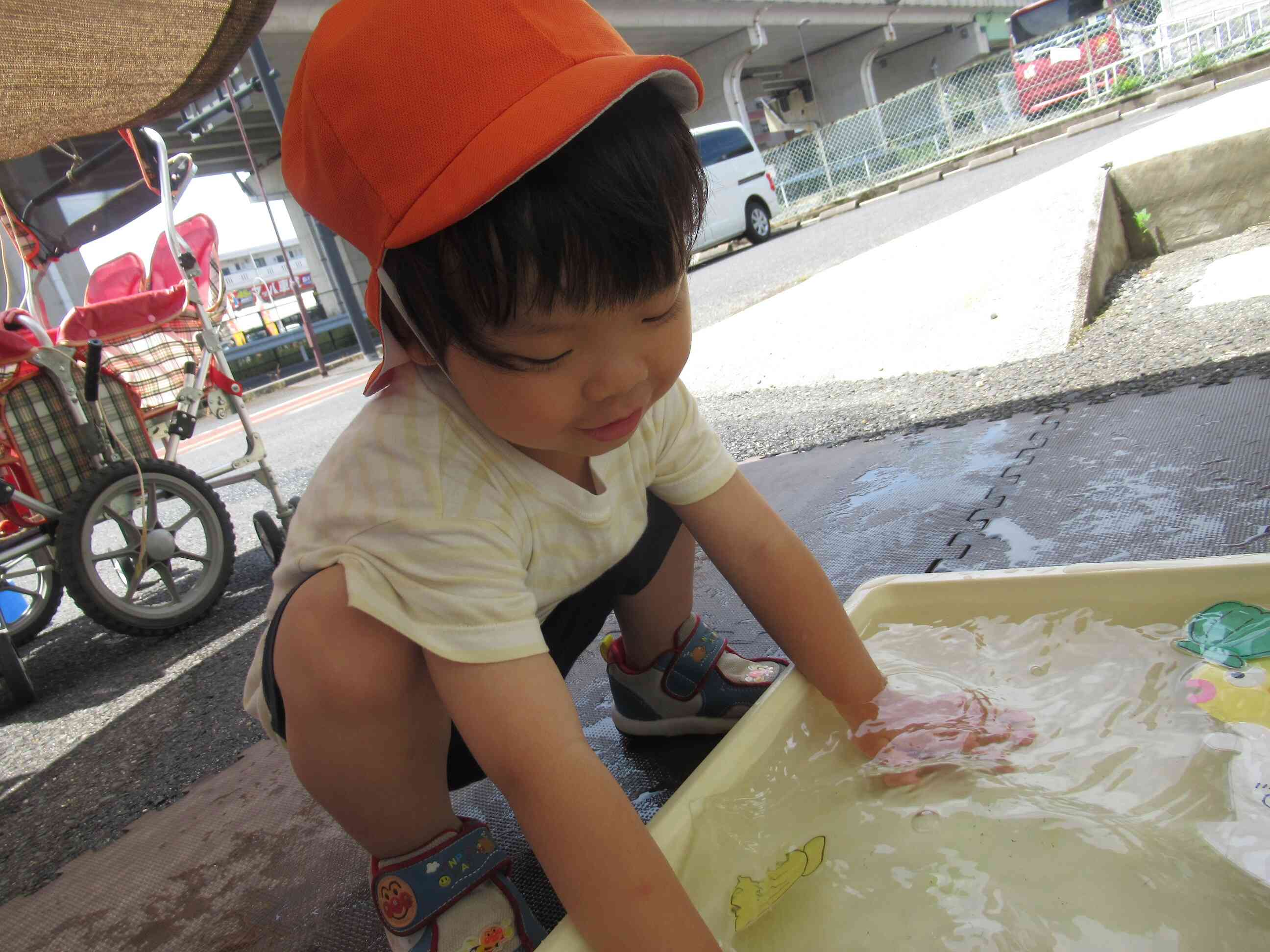 水遊びをしました