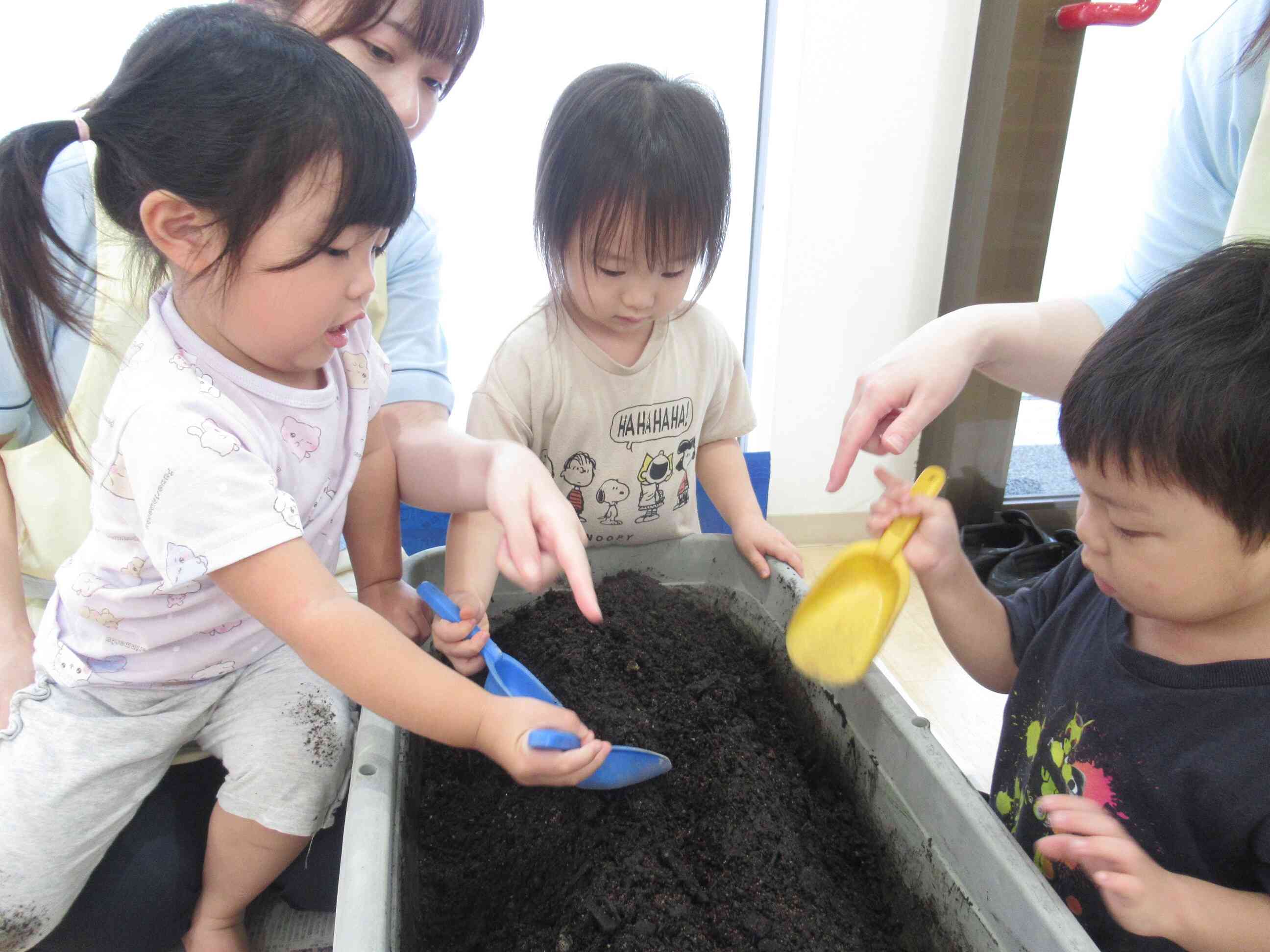 小カブと水菜の種を植えたよ