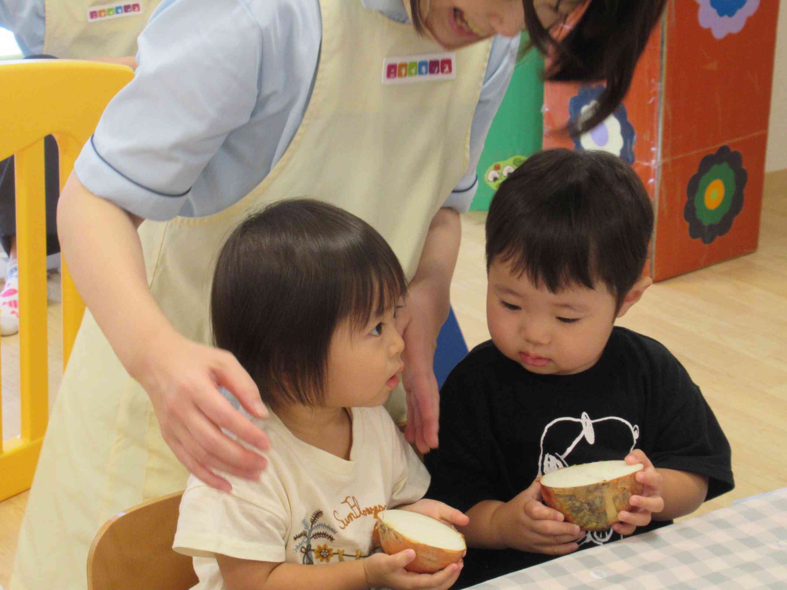 “野菜のおなか”を見てみよう