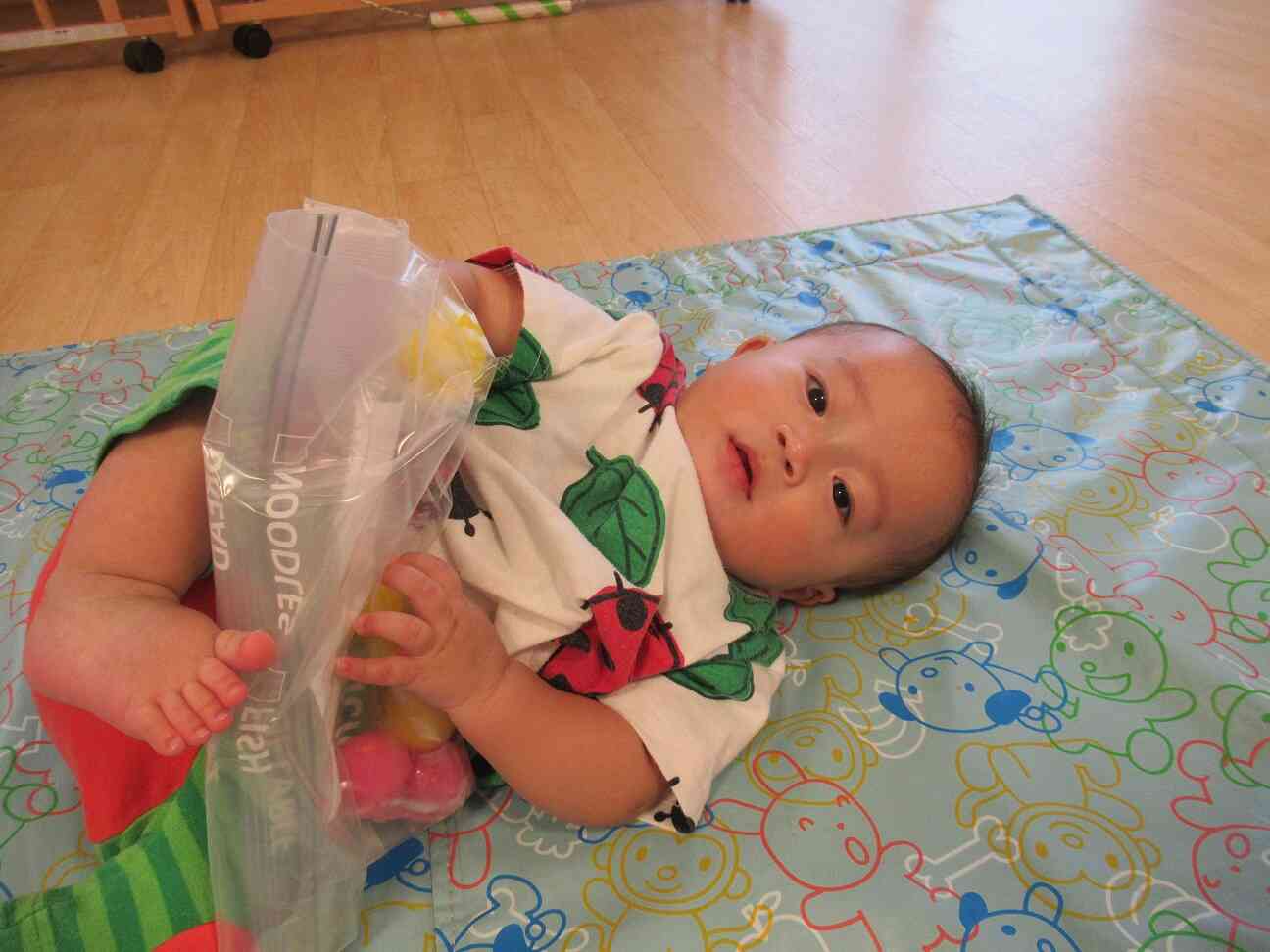 夏の遊びって楽しいね！（ひよこ組0歳児）