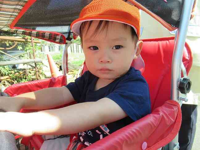 おさんぽ楽しいね♪