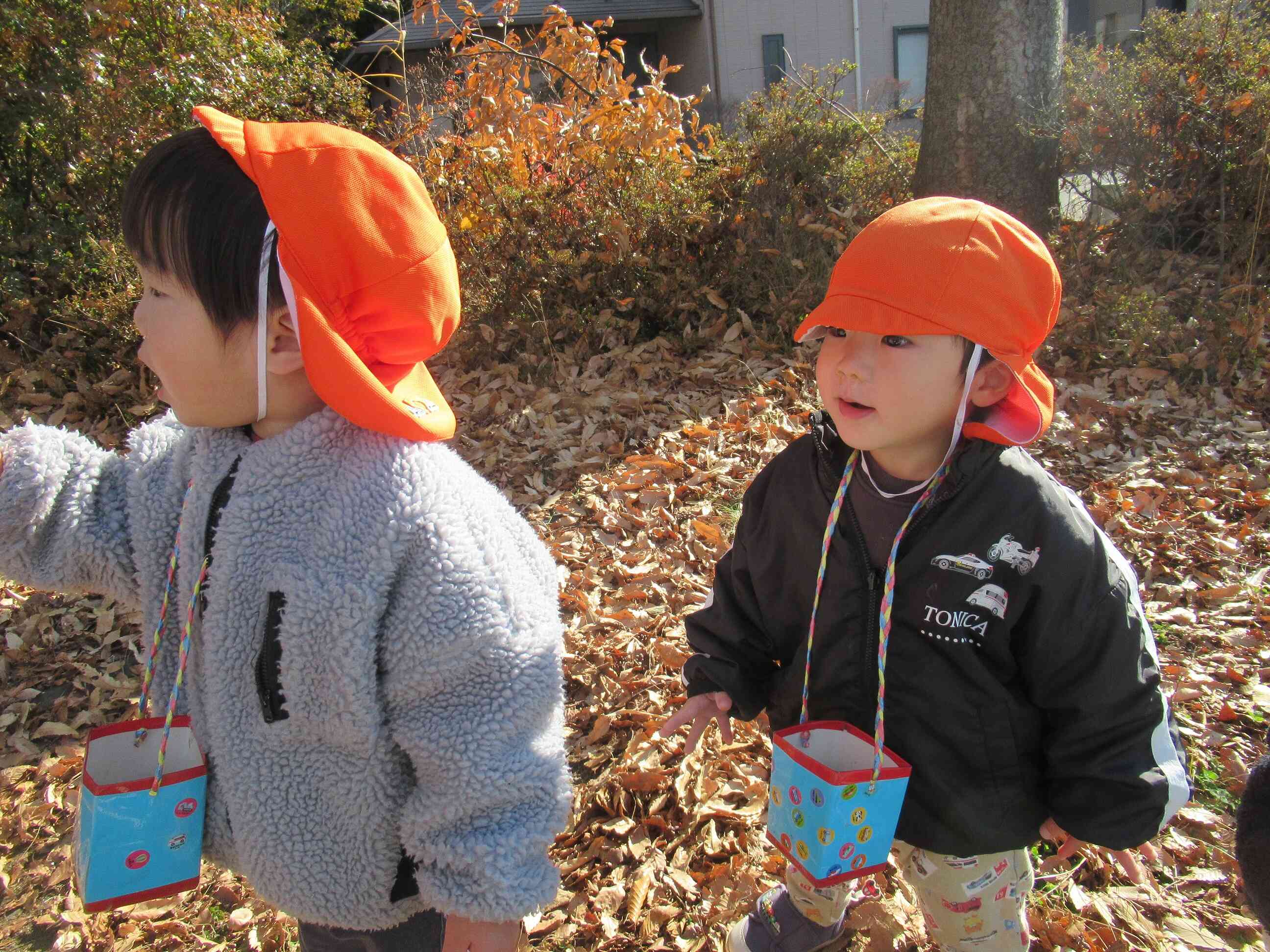 何があるかな？