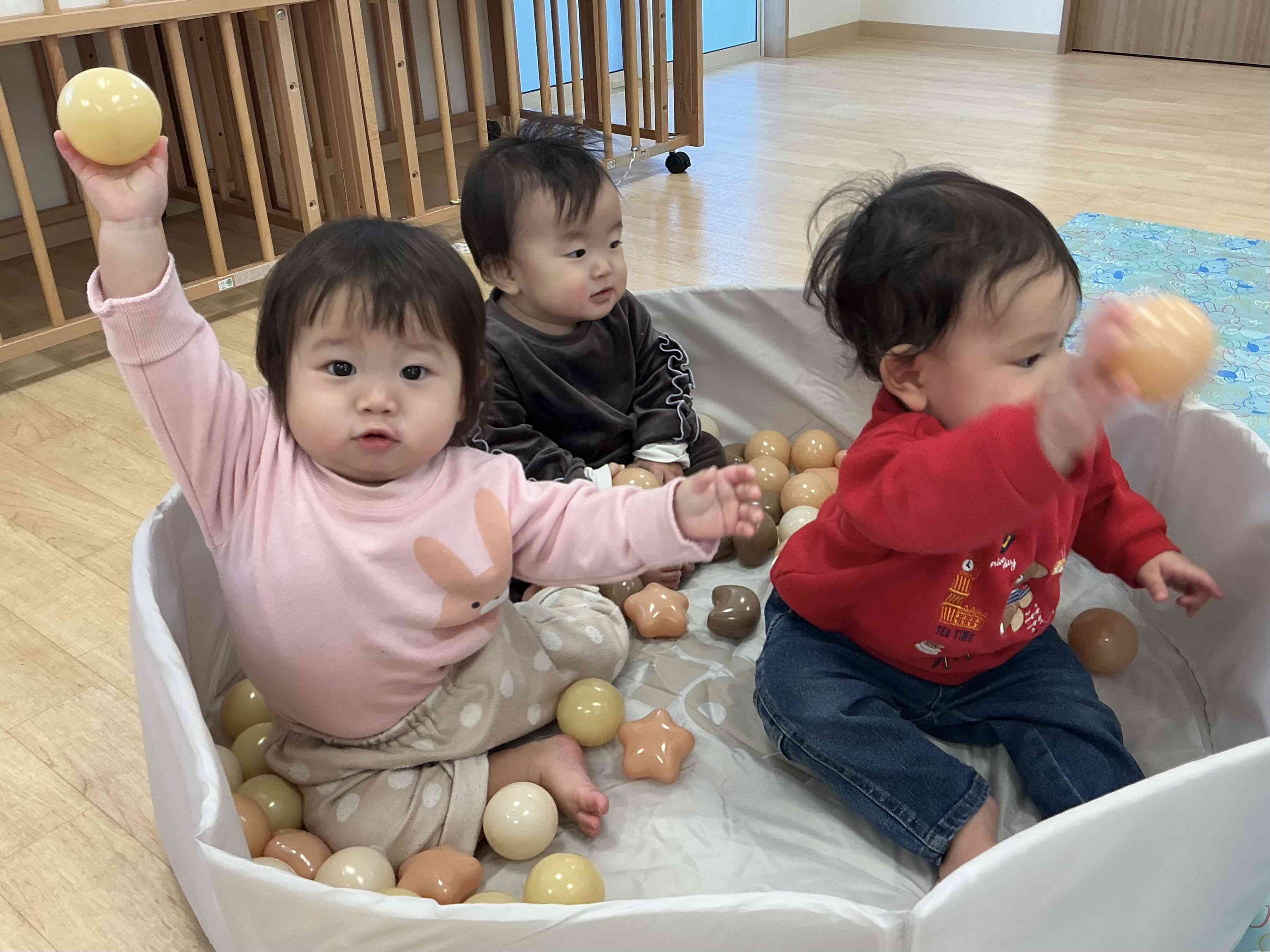 新しいおもちゃ嬉しいね！