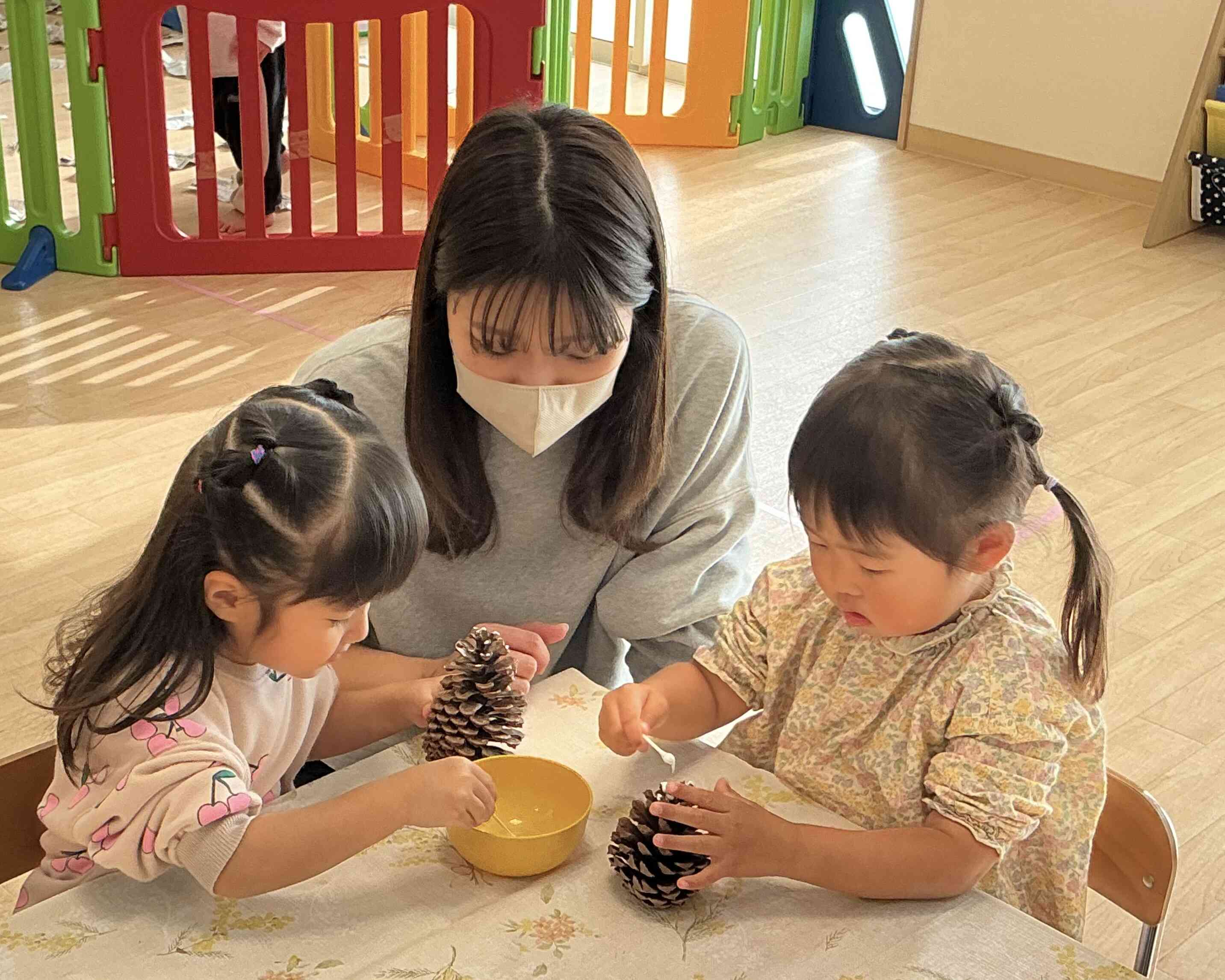 大きな まつぼっくり