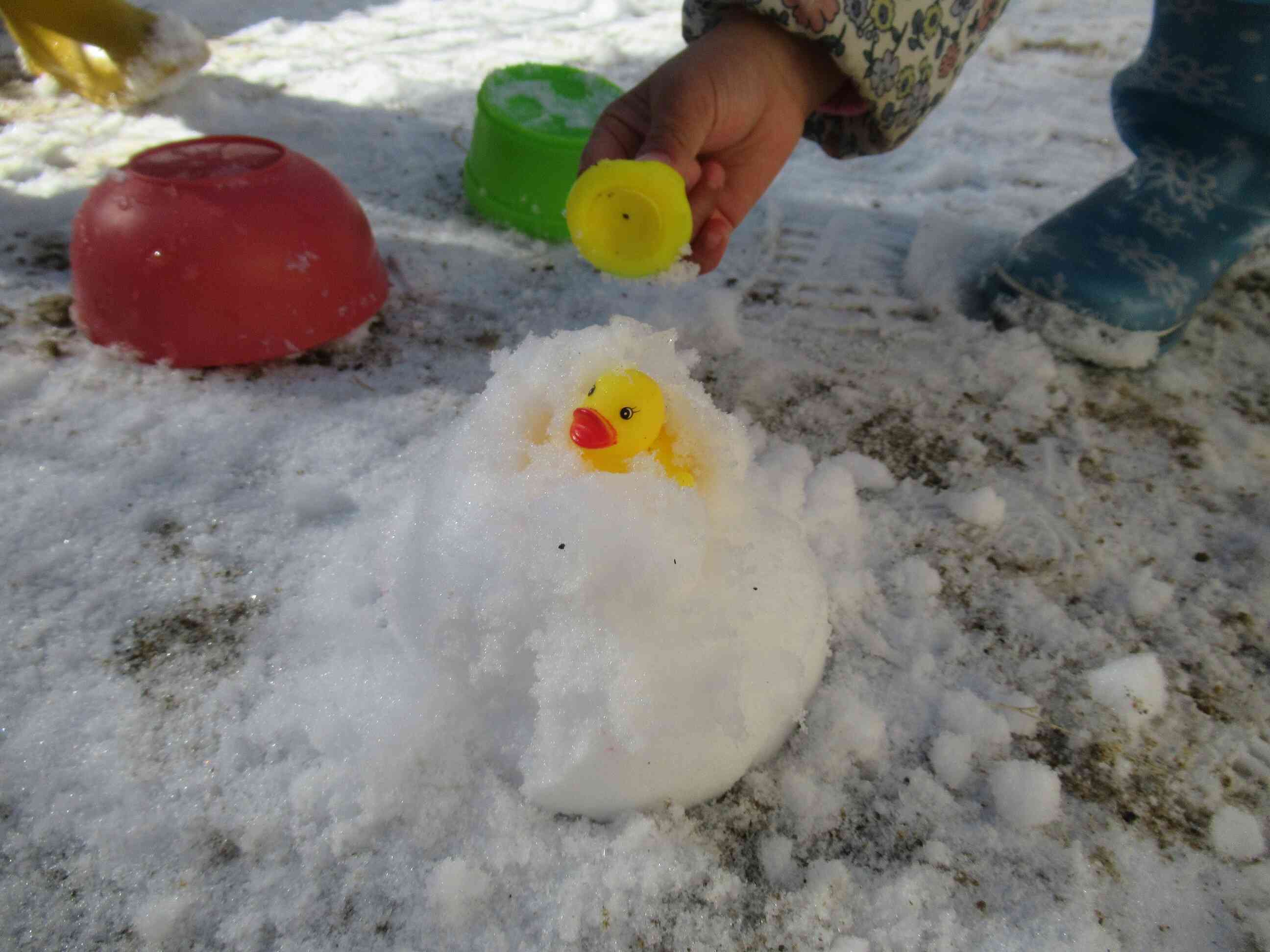 アヒルちゃんと遊ぼう♪