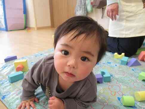 こんにちは！【0歳児　ひよこ組】