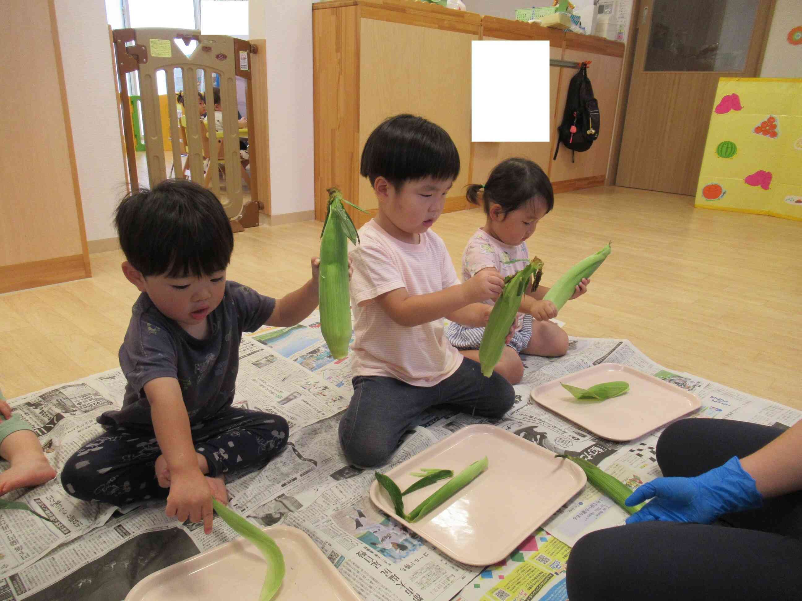 トウモロコシの皮をむいてみよう！【食育】