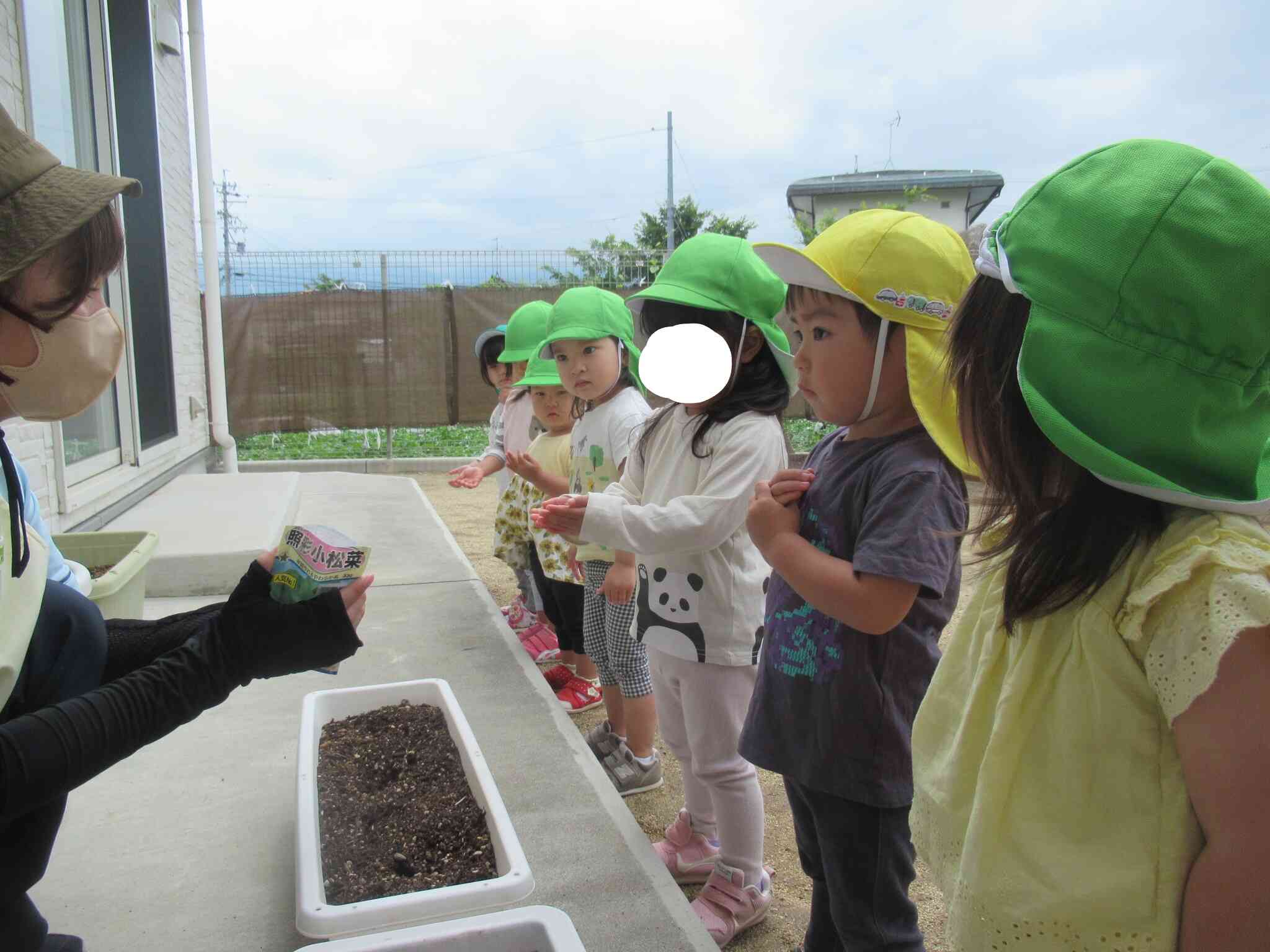 ぼく・わたしのお野菜