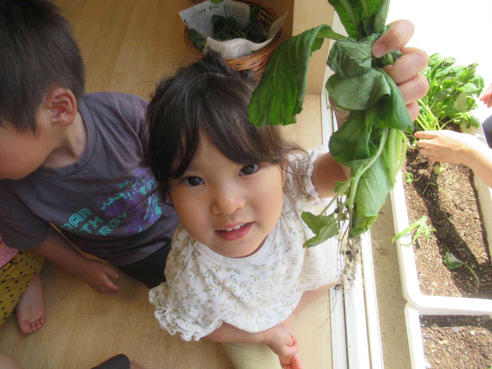 お野菜とれたよ！