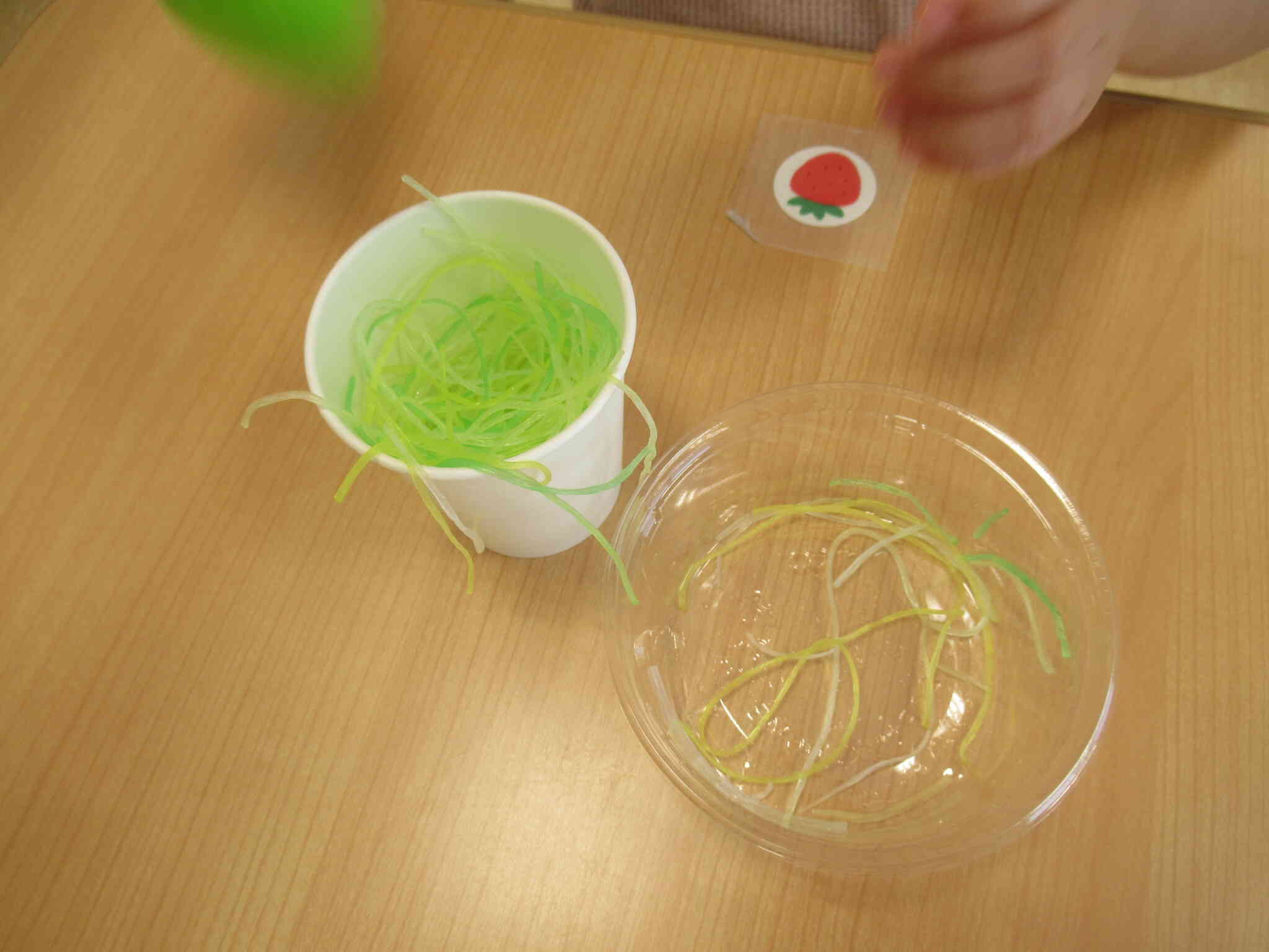 うさぎ組　感触遊び