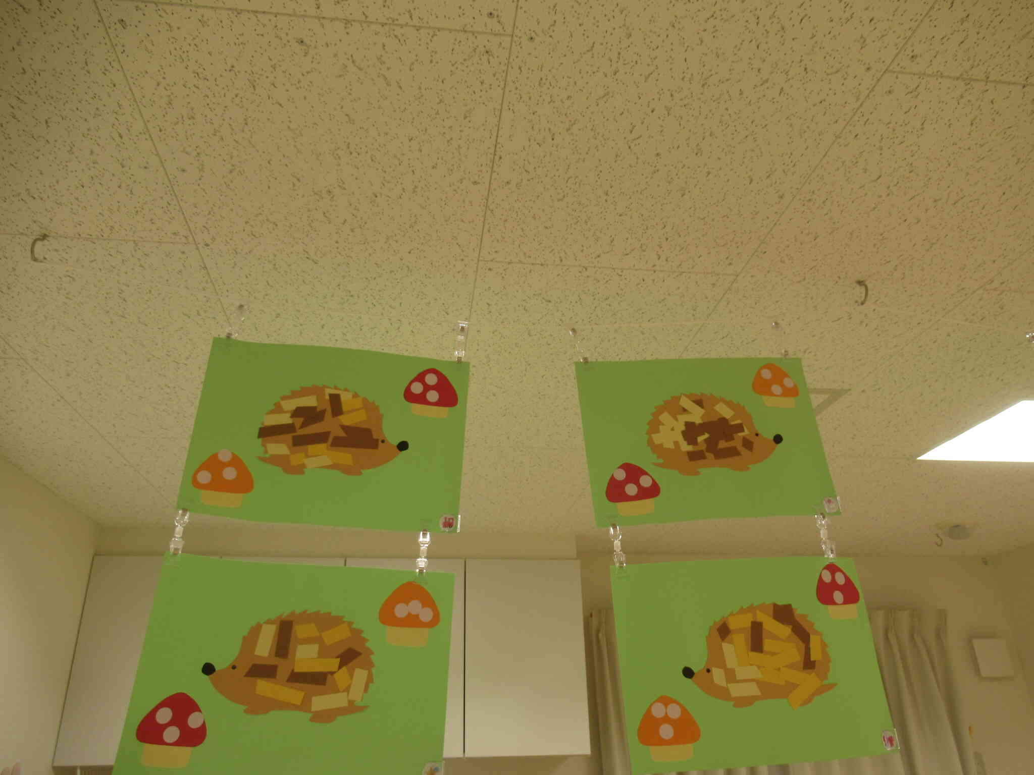可愛いハリネズミ！