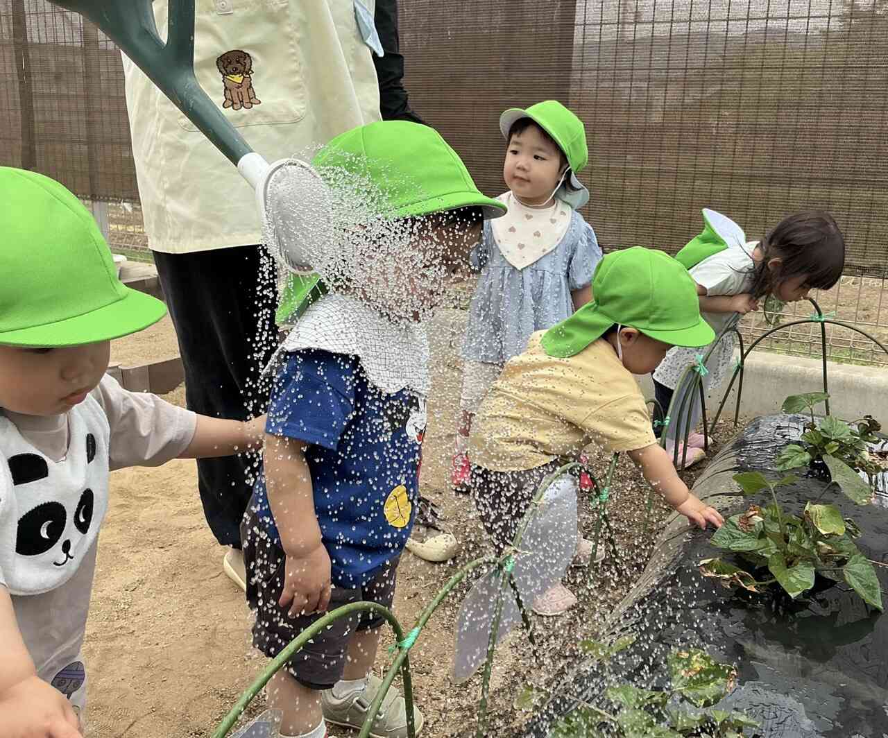 大きくなーれ！