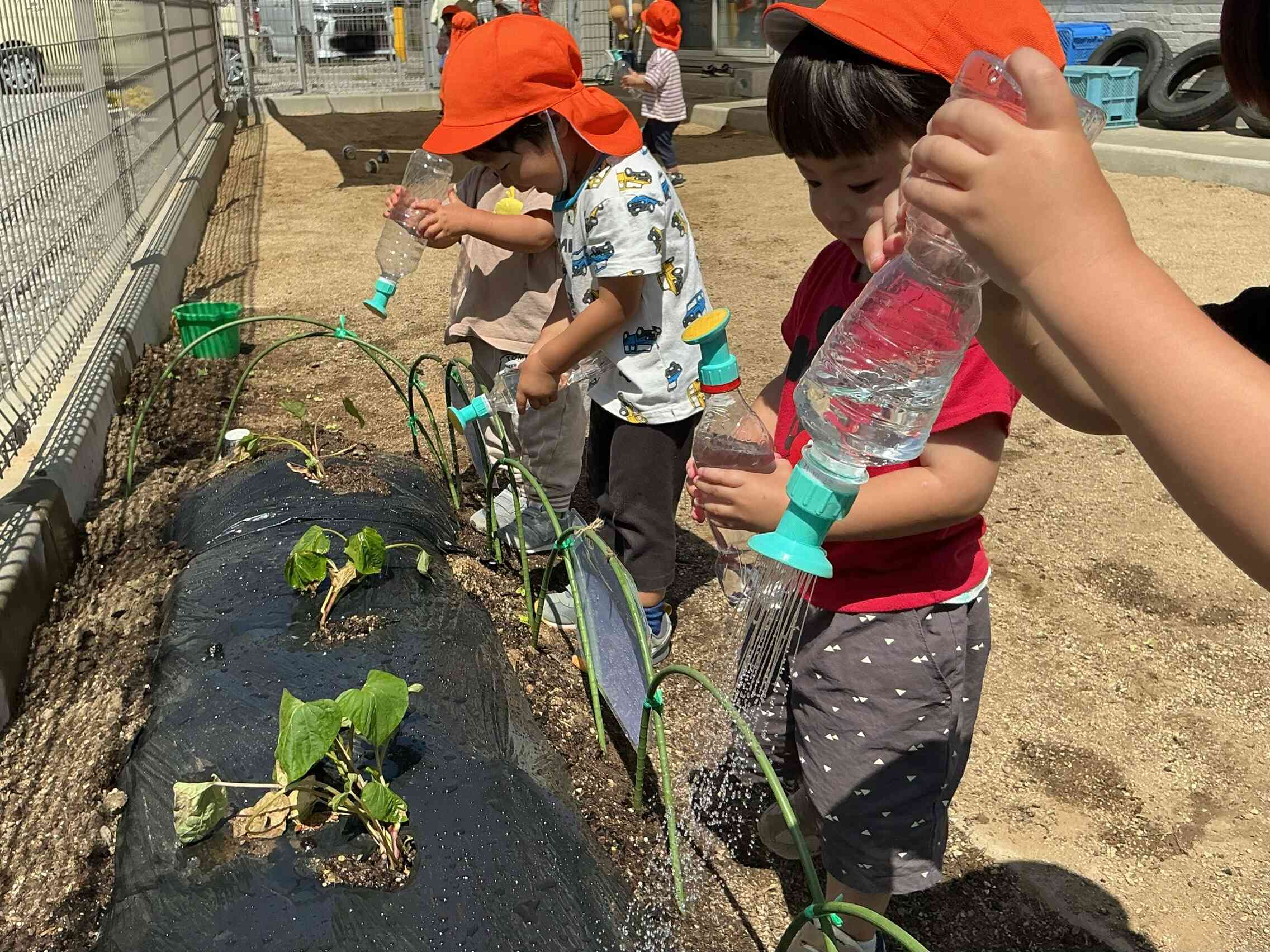 大きくなってね