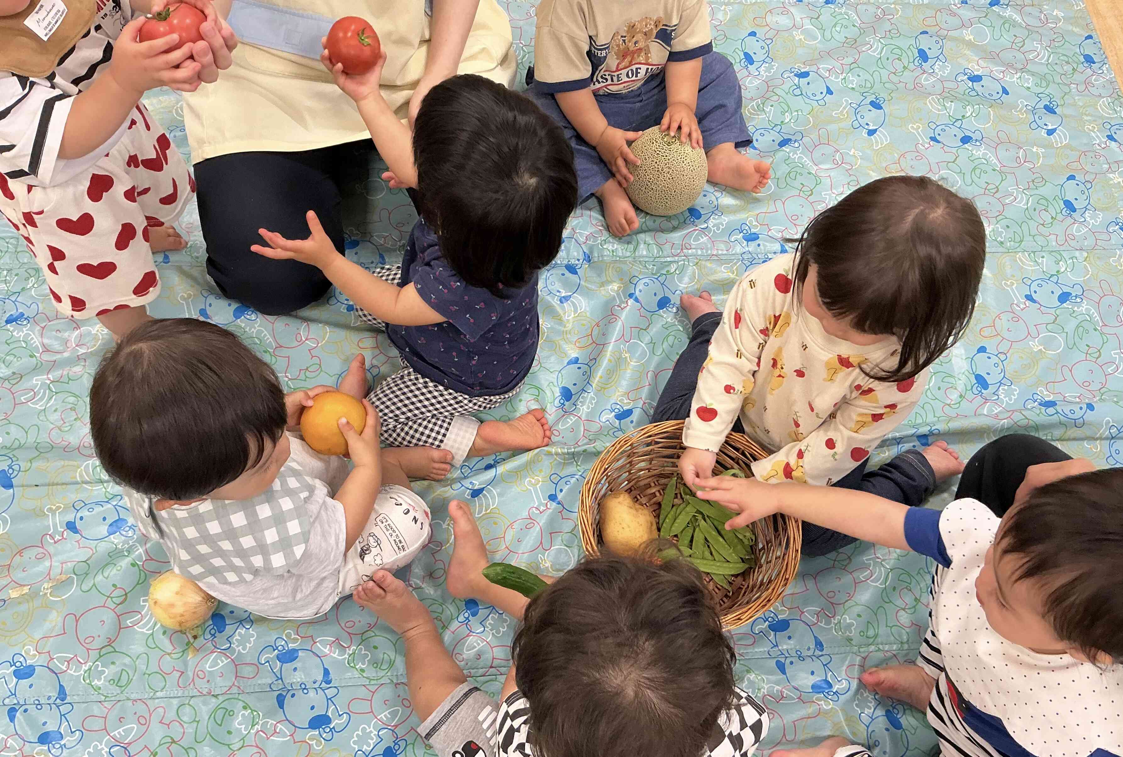 お野菜を触ってみよう!(食育)