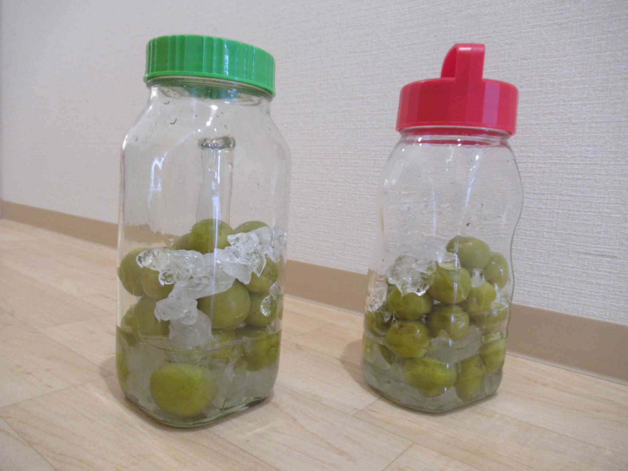 １週間後…氷砂糖がキラキラになったよ