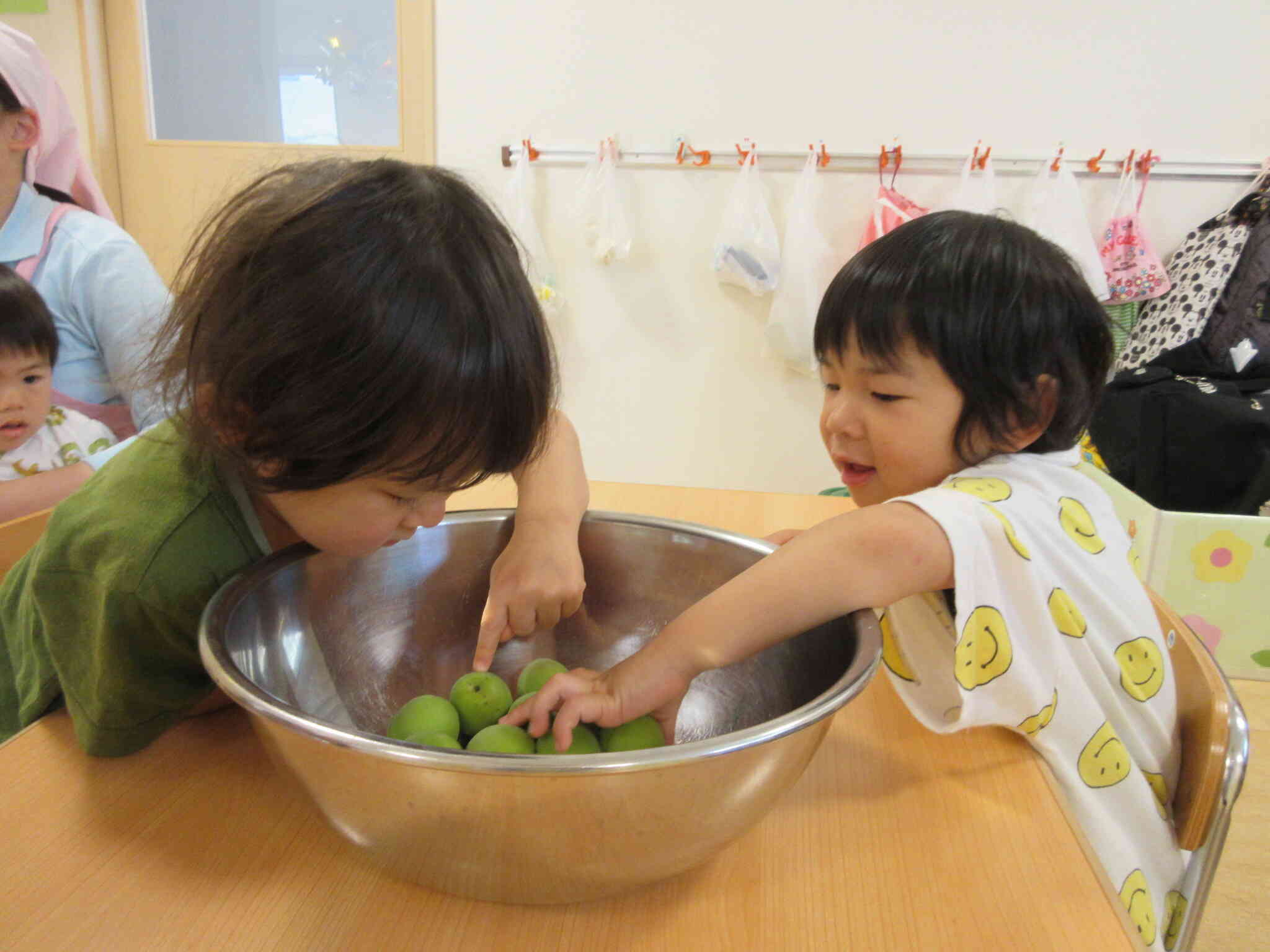 梅ってなあに？さわってみよう！