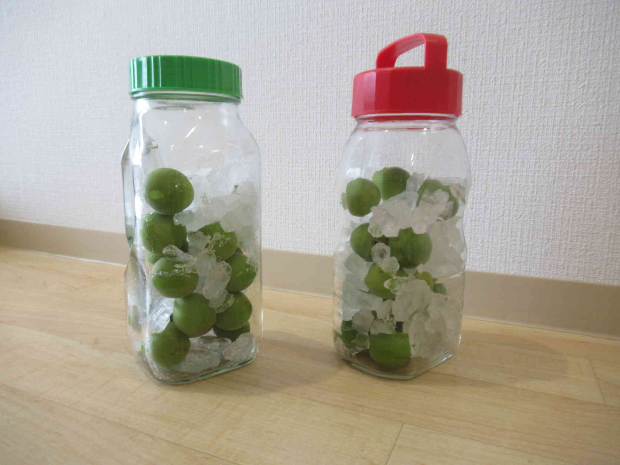 これから どんな風に変身していくのかな？楽しみだね