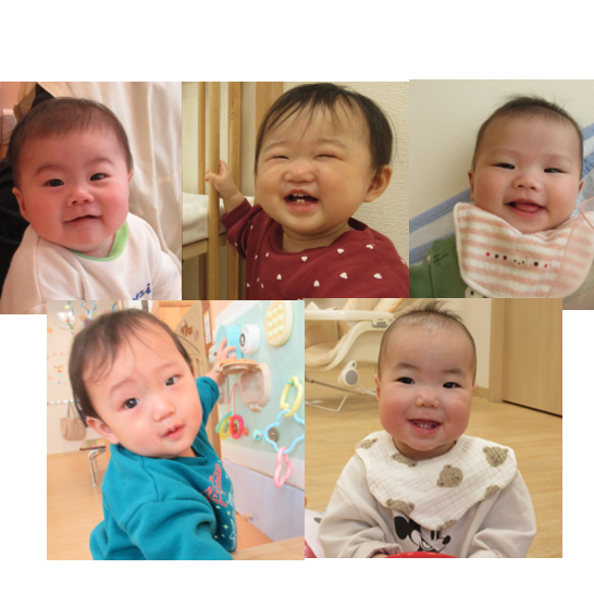 新ひよこ組　よろしくね！【０歳児　ひよこ組】