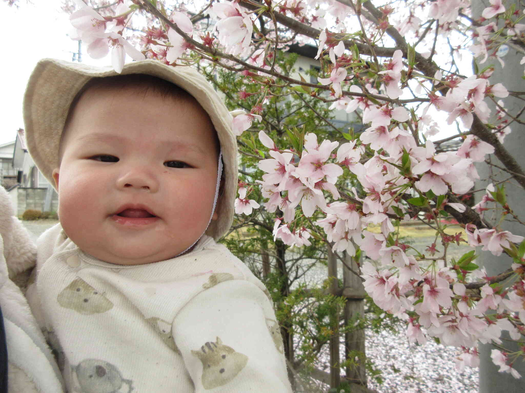 いちばん小さい かわいいお友だちです♪【0歳児 ひよこ組】