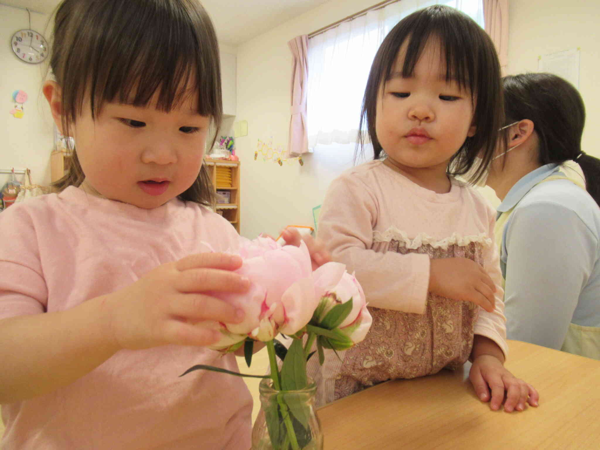 思わず触ってみたくなる豪華な花びら。ふわふわだね。