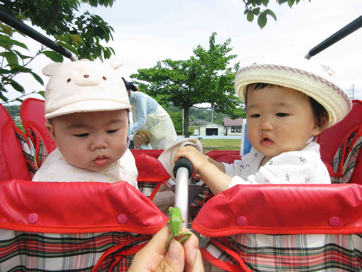 カエルさんだ…