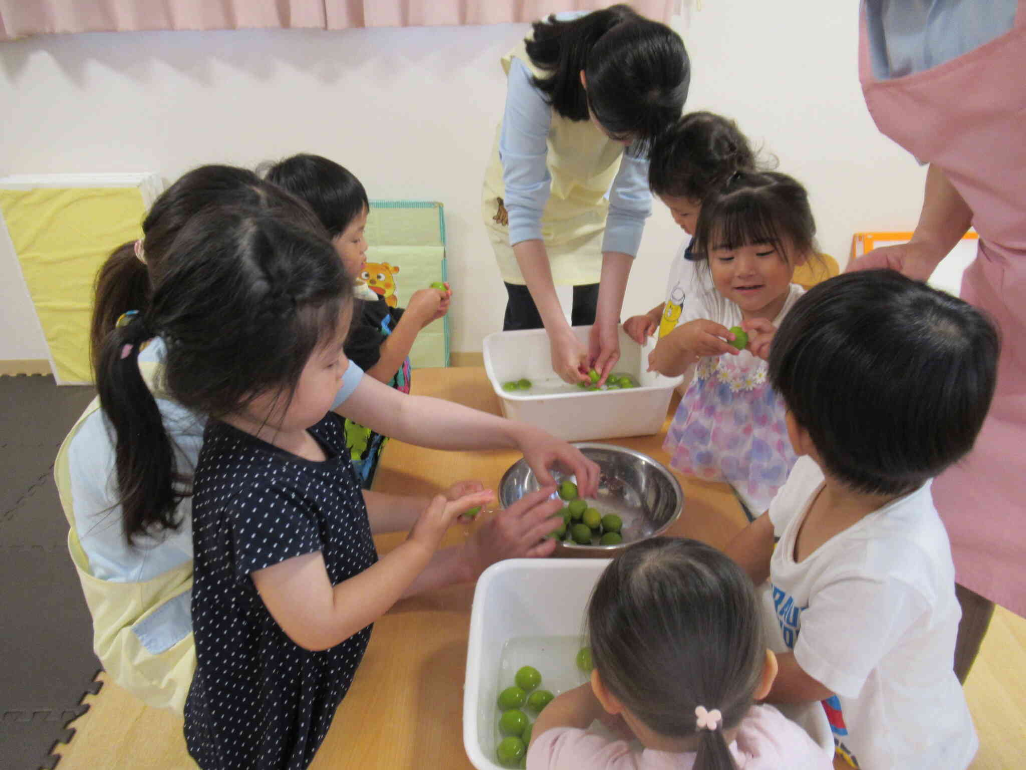 梅をじゃぶじゃぶ！