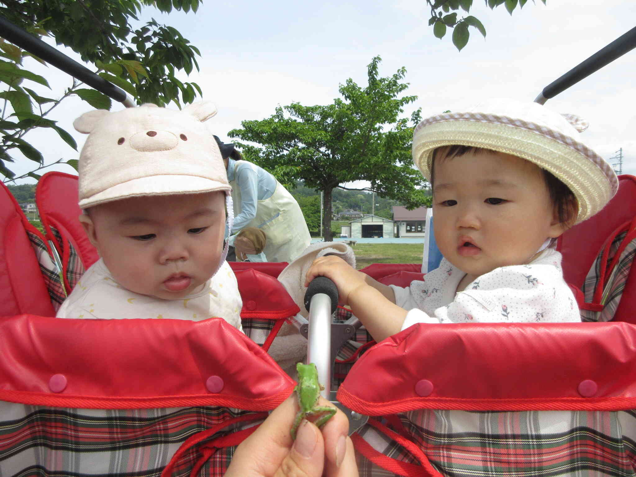 はじめまして カエルさんこんにちは♪【0歳児 ひよこ組】