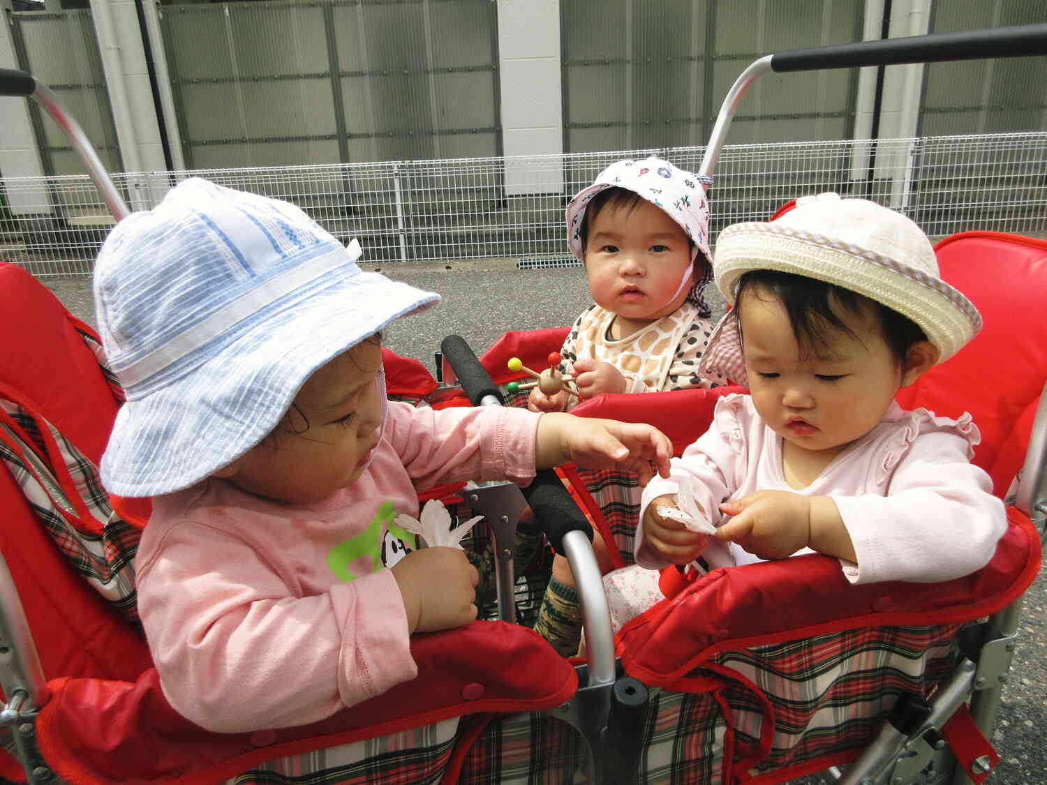 お花、僕にもちょ～うだい