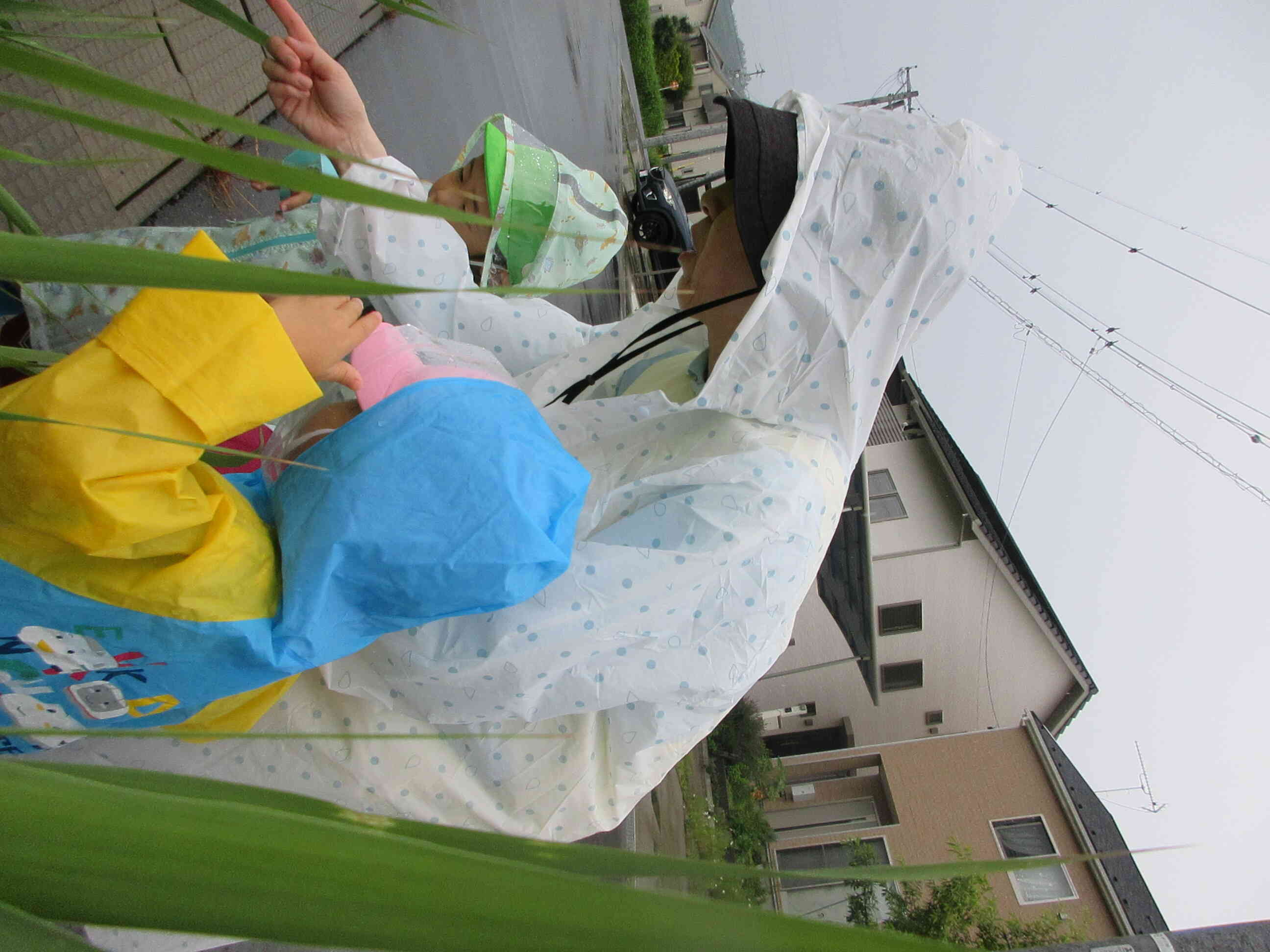 先生と一緒に