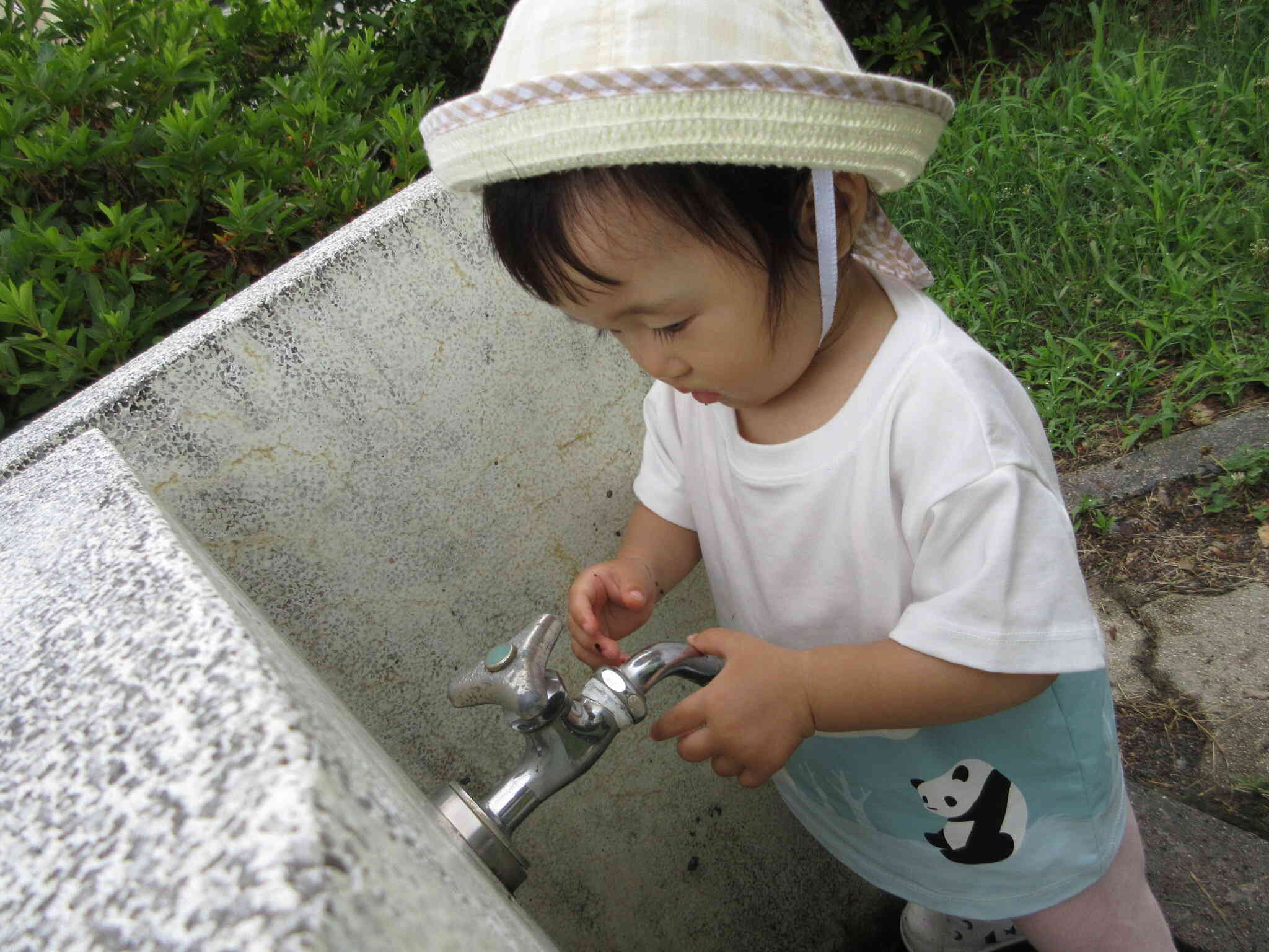 公園の水道に興味津々