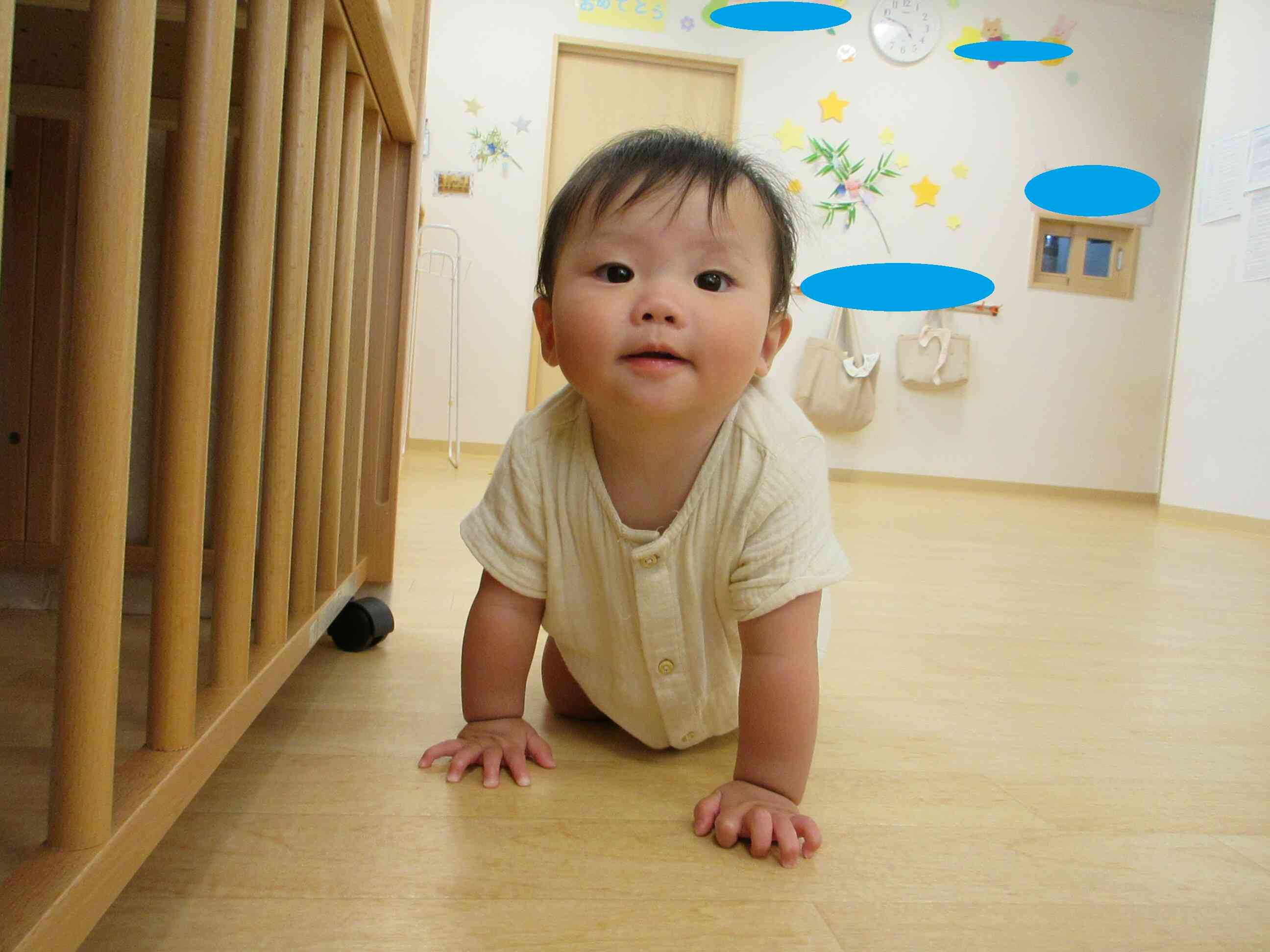 すくすく育つ 【0歳児 ひよこ組】