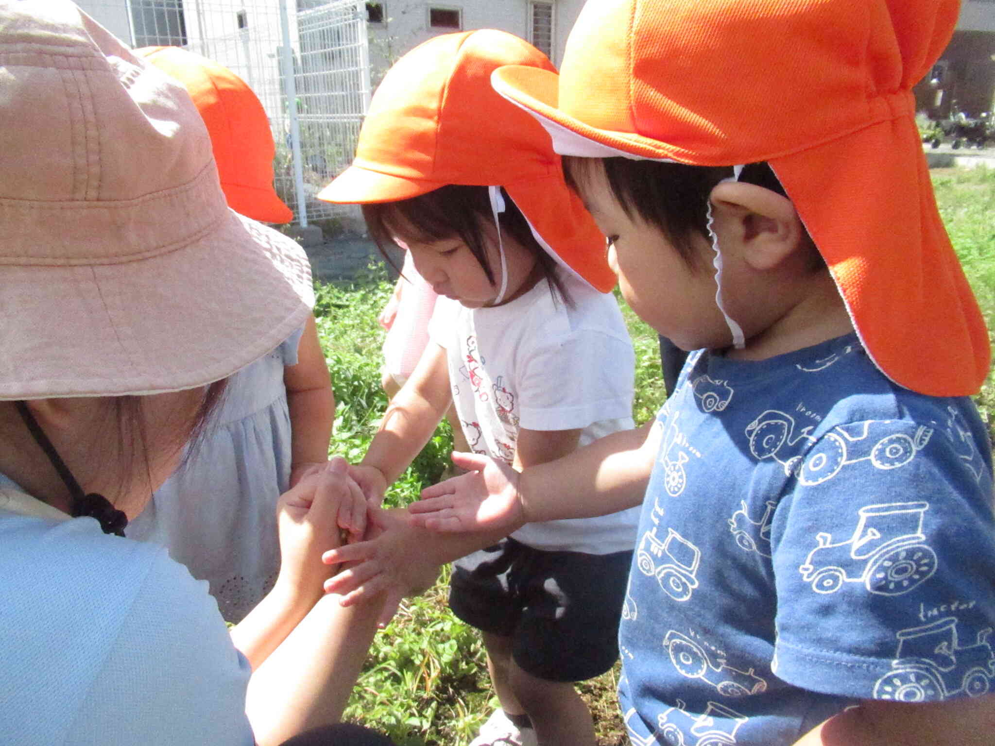秋をさがしにいこう！【1歳児　あひる組】