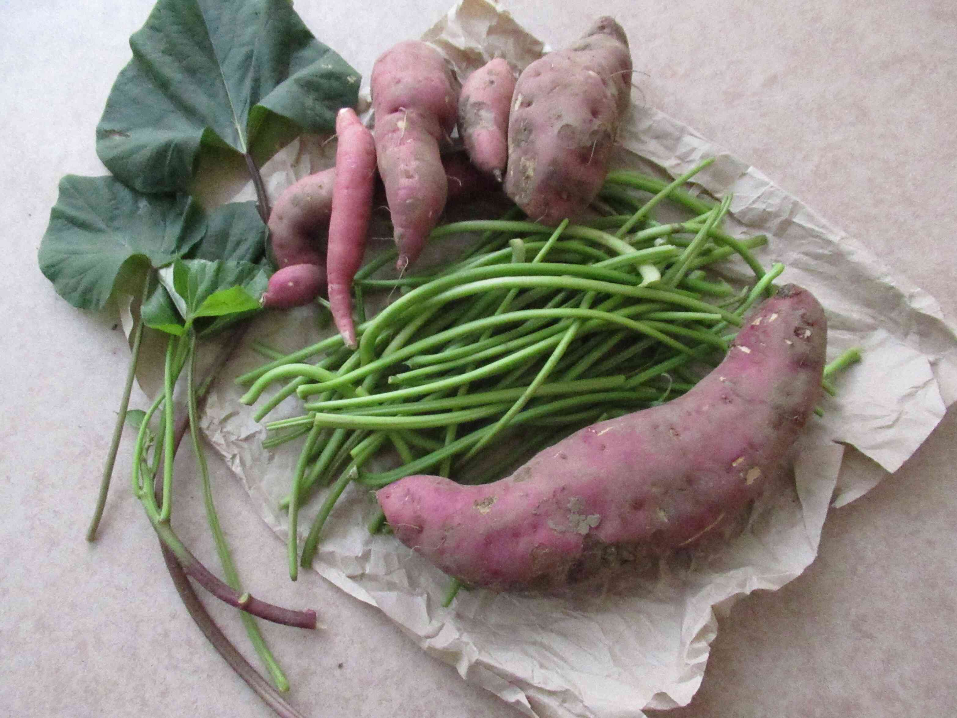 ありがとうございます♪